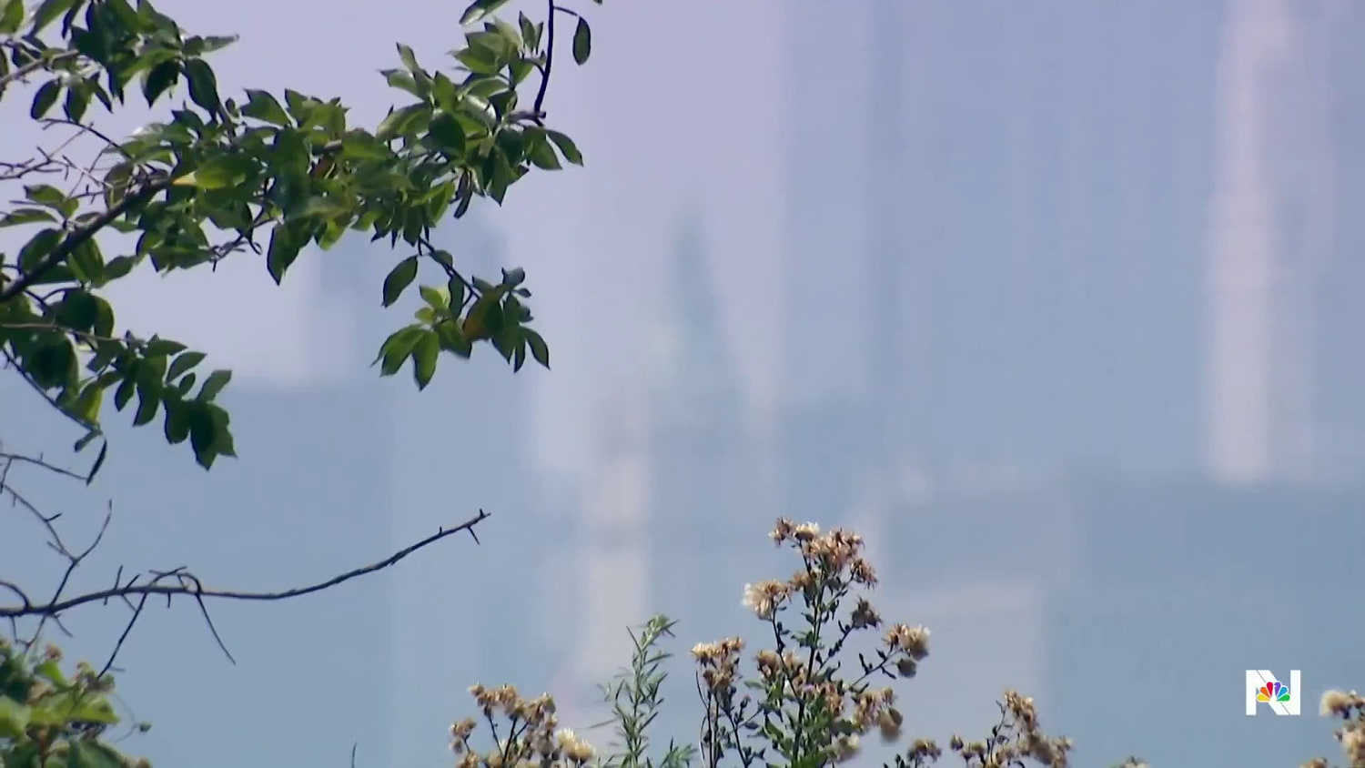 100 million Americans facing dangerous wildfire smoke