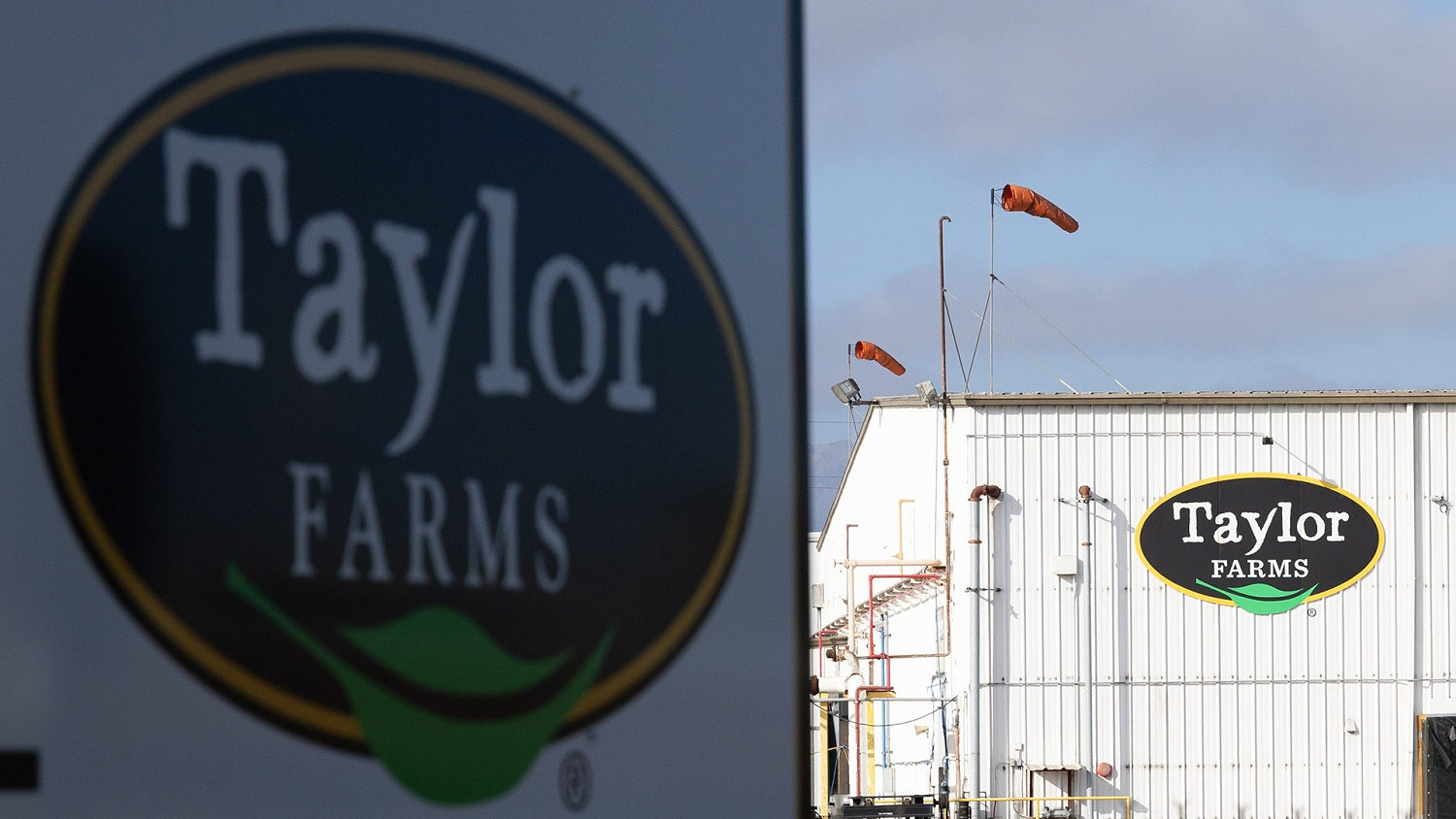 Taylor Farms Lettuce Test for Cyclospora Was False Positive: FDA