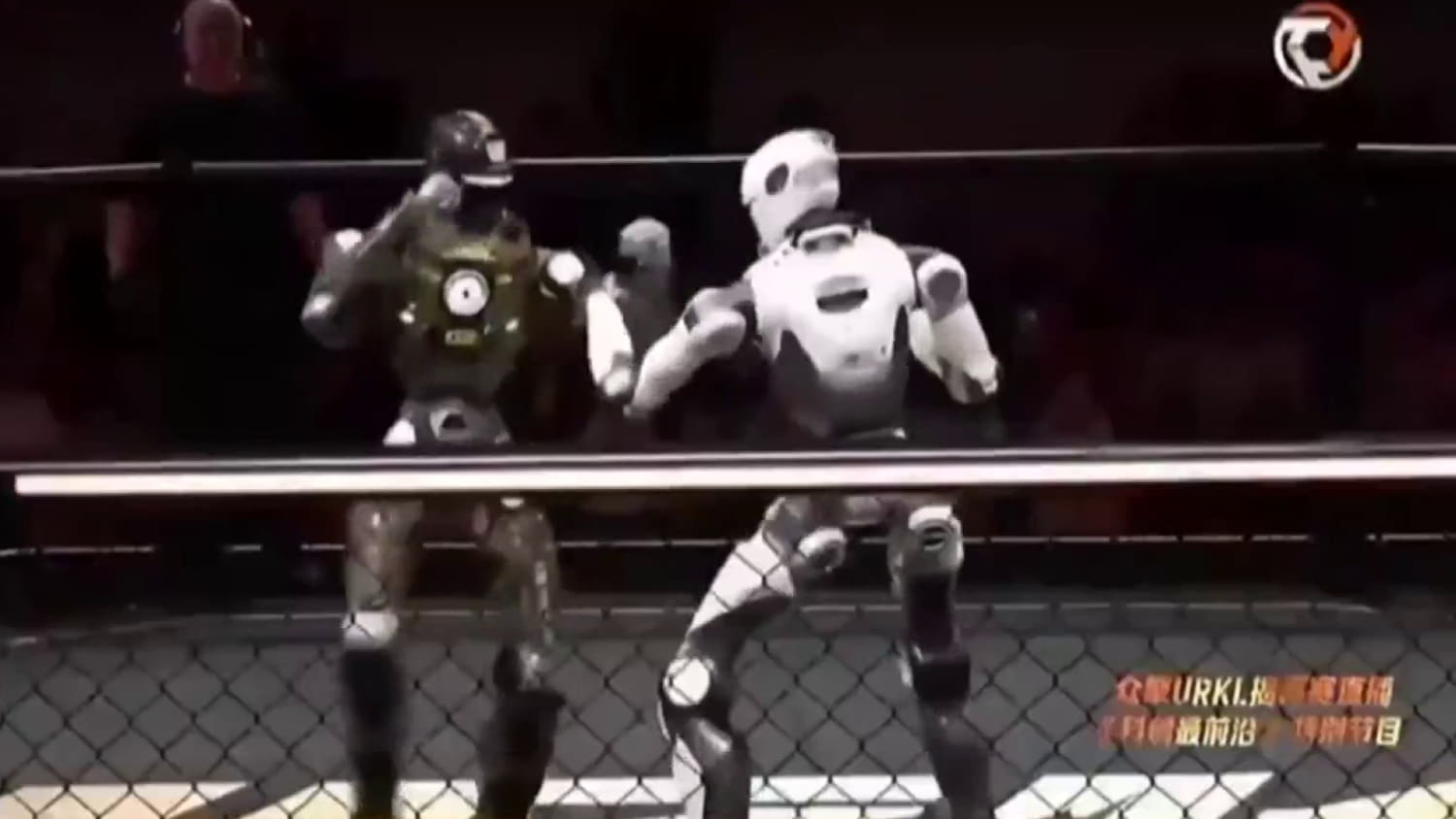 Inside the world of robot fight clubs