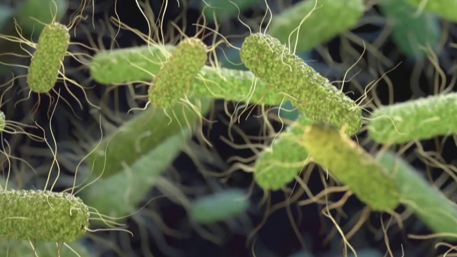 Qdoba removes jalapeños as salmonella outbreak spreads to 27 states - image 1