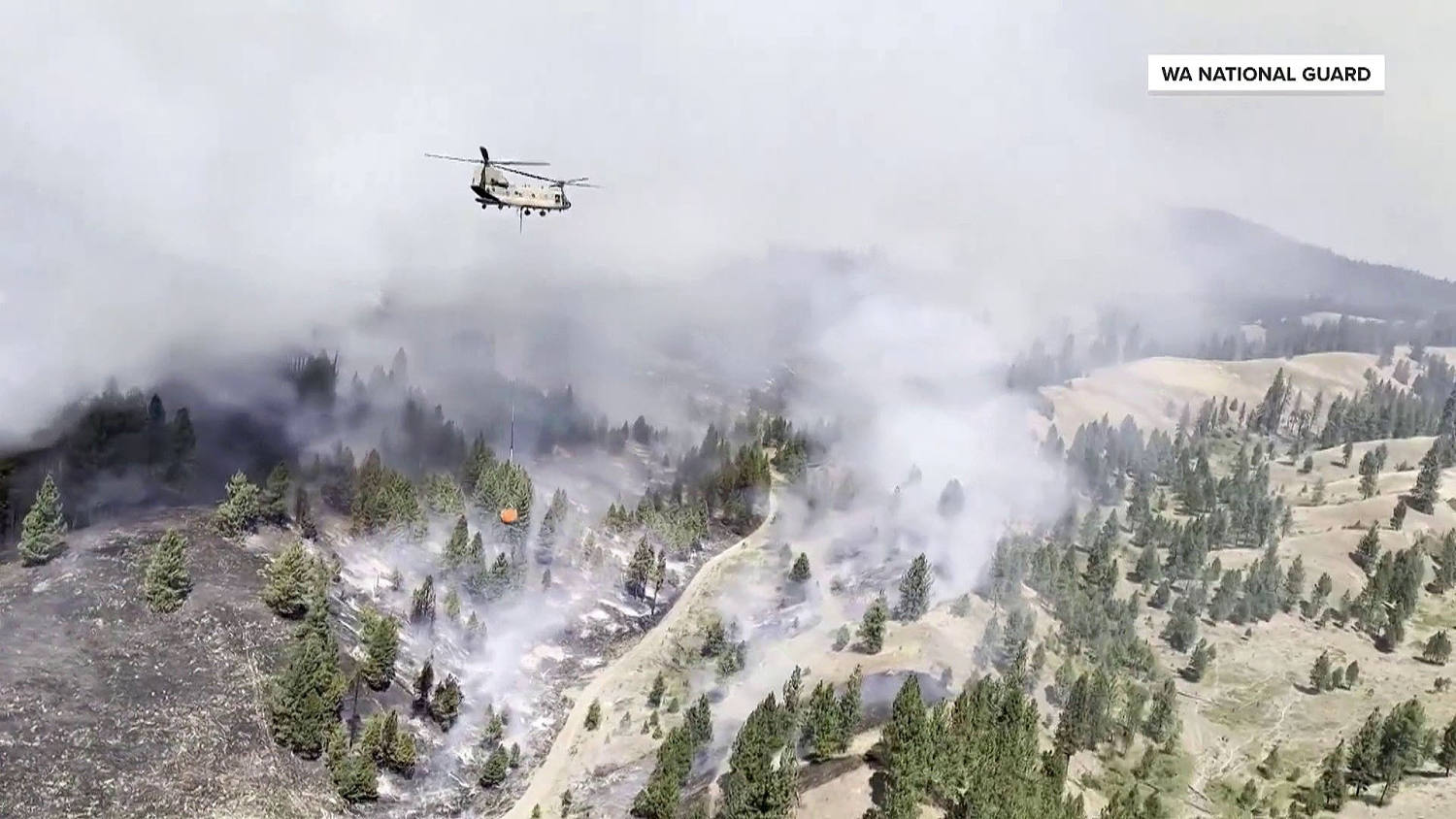 Over 800 Homes and Buildings Lost as Spokane Wildfires Rages