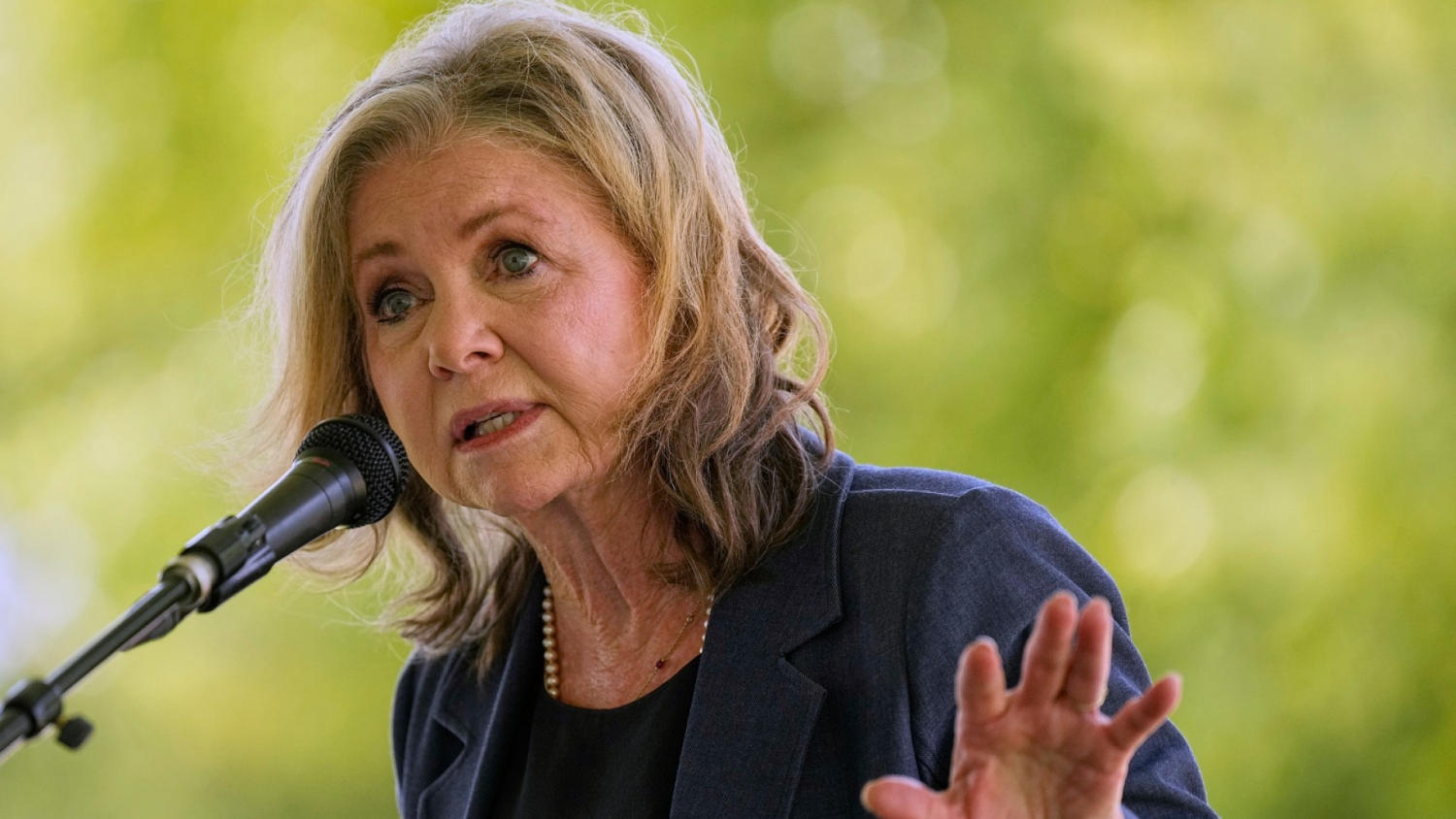Blackburn Wins Republican Nomination for Tennessee Governor - image 3
