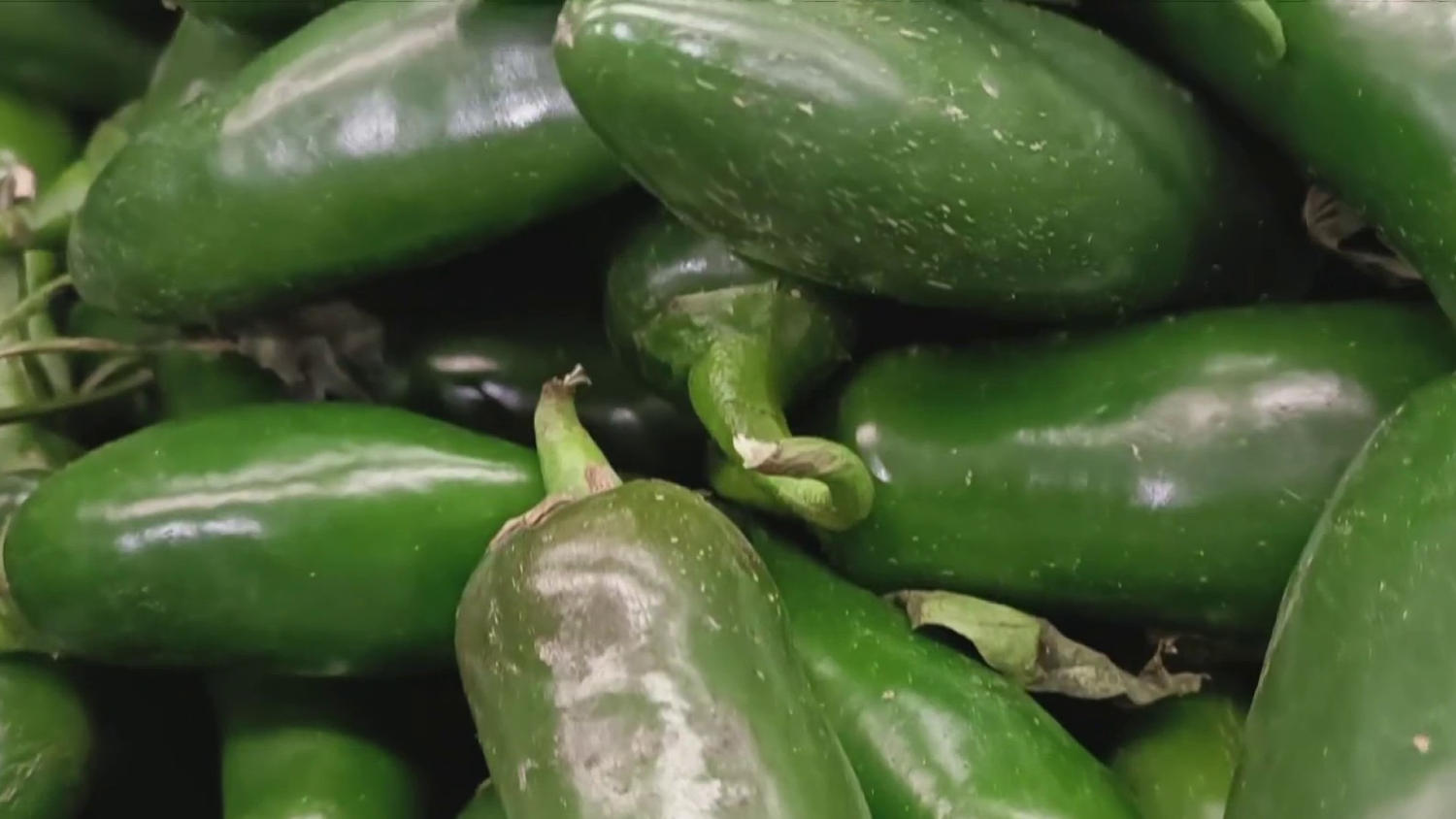 New food items recalled over salmonella outbreak​New food items recalled over salmonella outbreak 