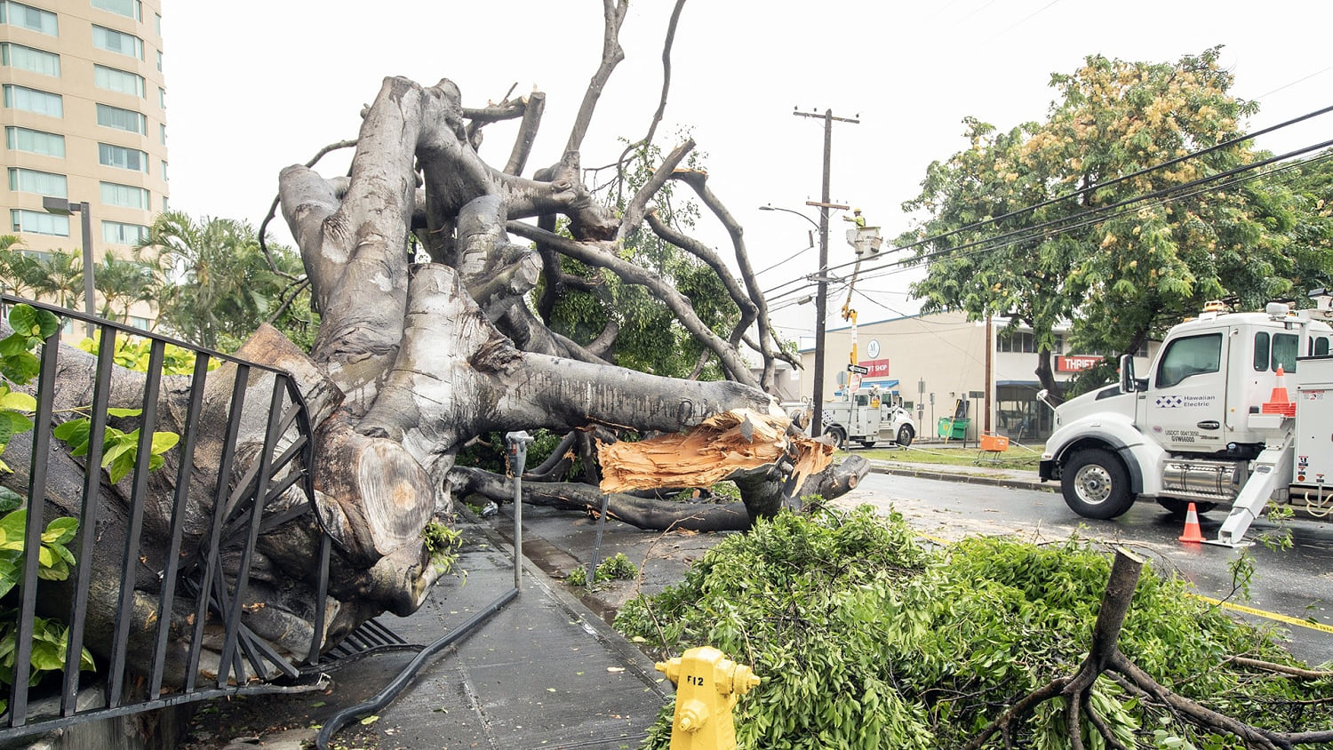 Rare Hurricane in Hawaii Destroys Homes, Knocks Out Power