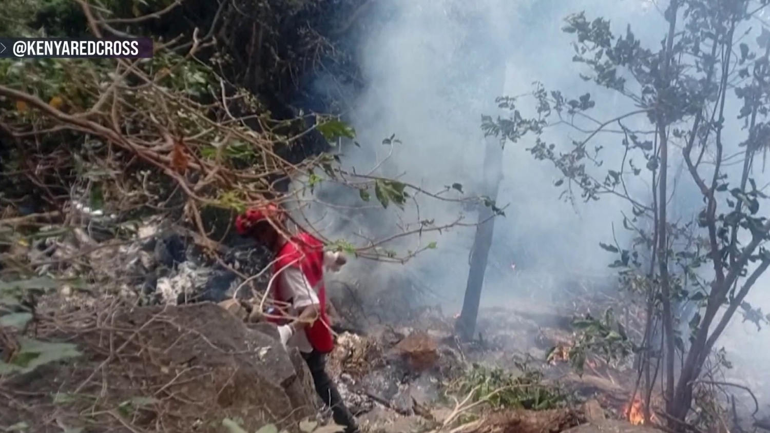 5 Americans and Ecuadorean Official Are Killed in Helicopter Crash in Kenya - image 3