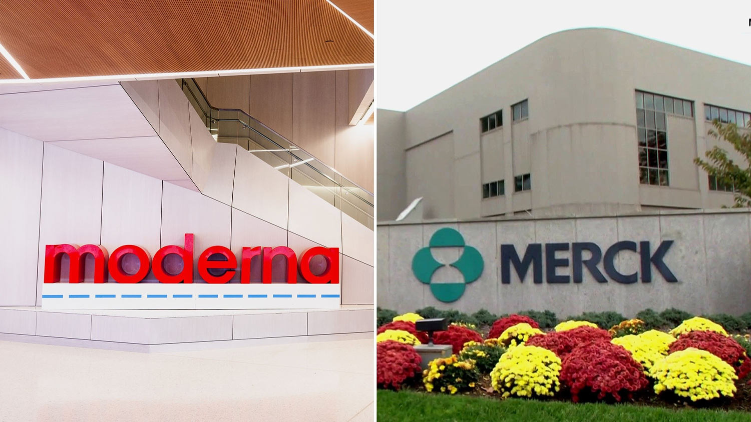 Moderna, Merck See Promise in Experimental Skin Cancer Vaccine​Moderna, Merck See Promise in Experimental Skin Cancer Vaccine 