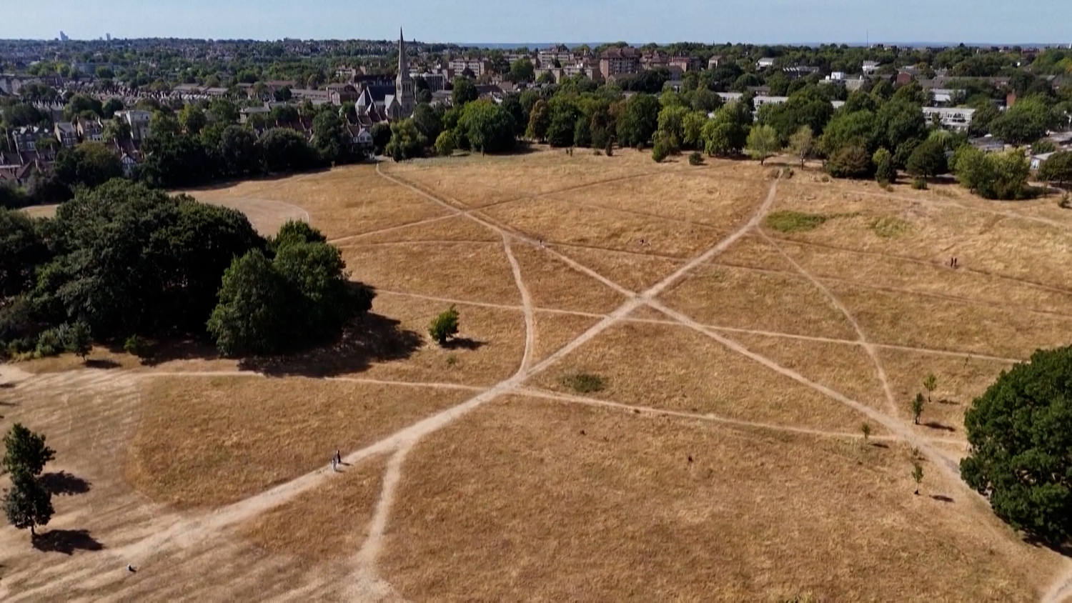London’s green parks turn brown after weeks of extreme heat