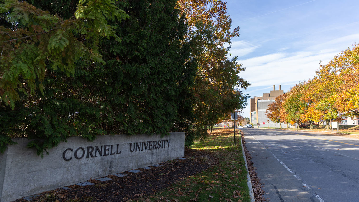 Cornell sexual assault case reopened by district attorney