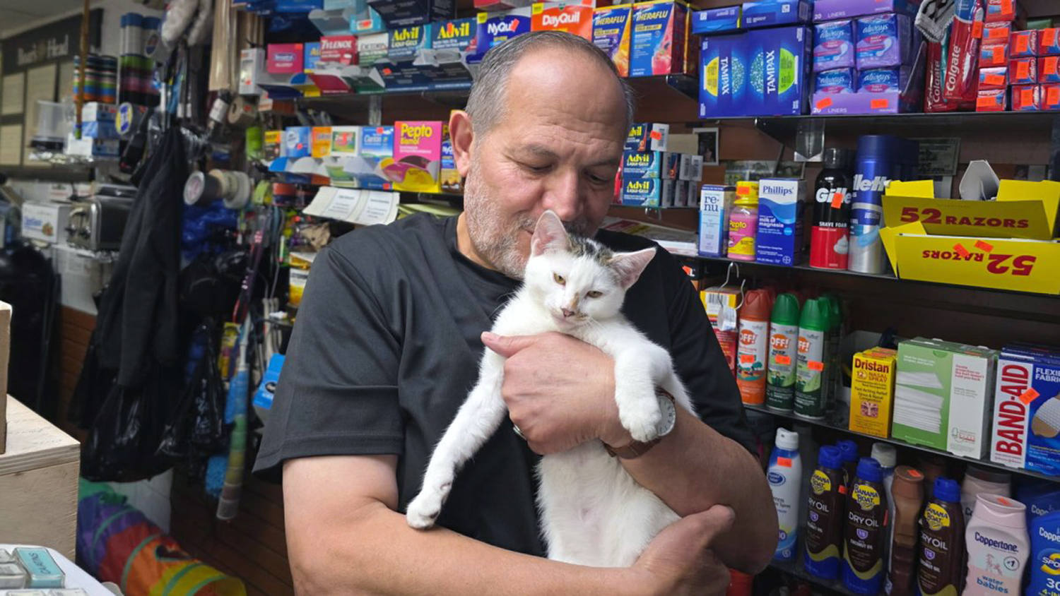 ‘Tears of joy': Jabal, beloved Brooklyn bodega cat, returned after community uproar