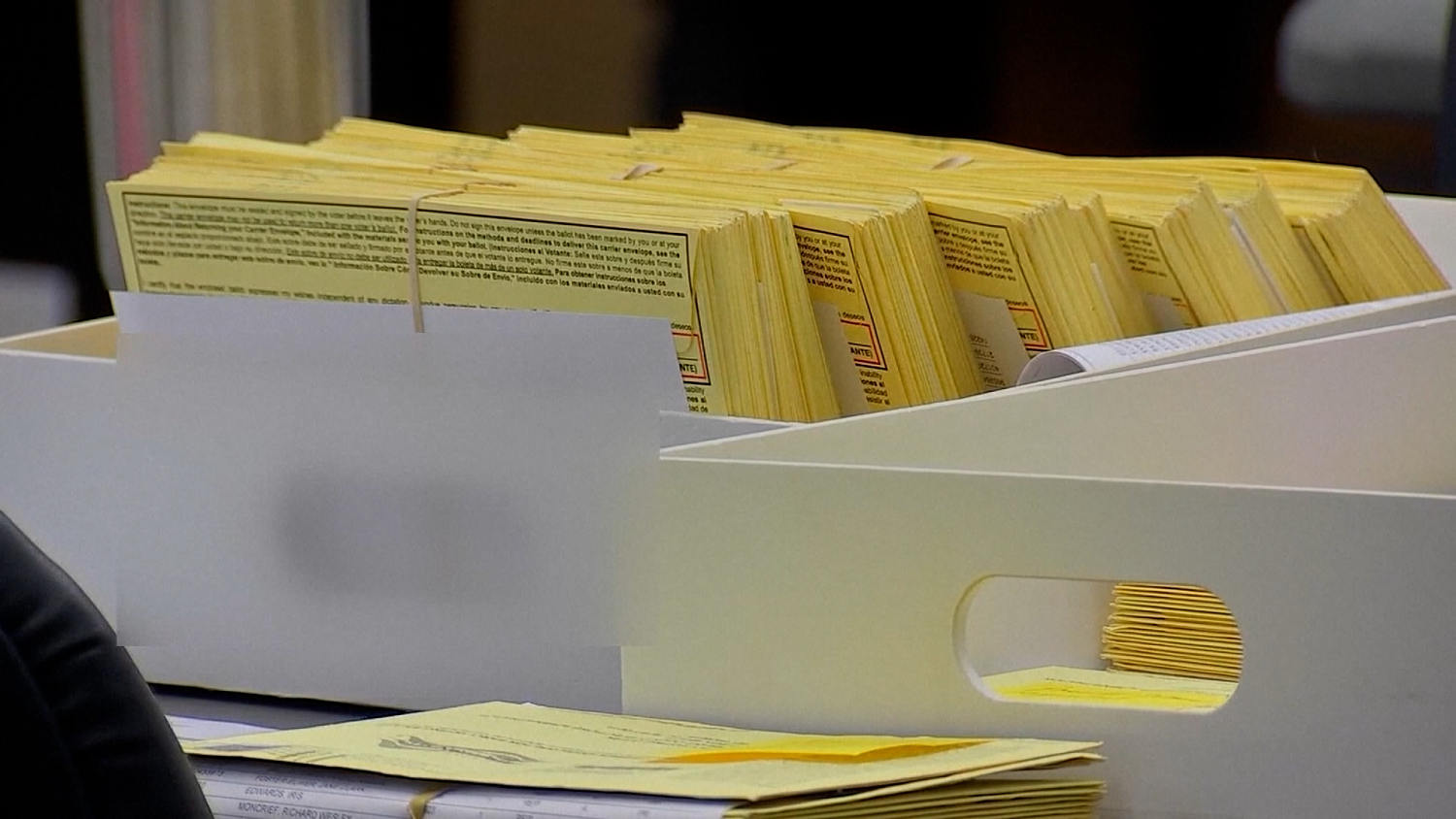 Texas election officials struggle to process backlog of voter registrations