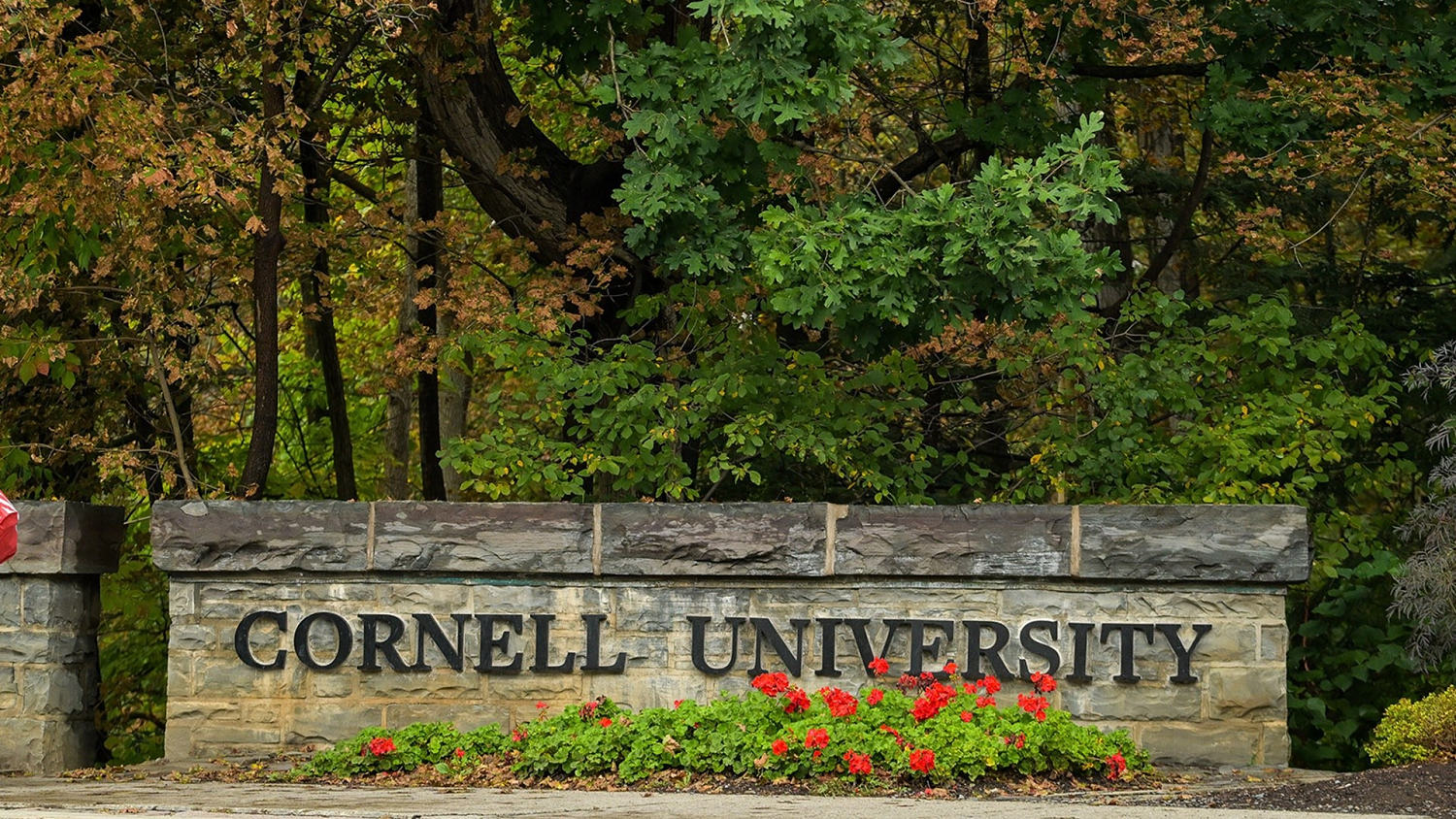 Cornell Agrees to Outside Investigation of Alleged Gang Rape Case
