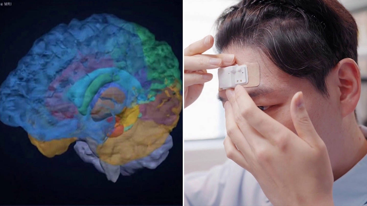 Groundbreaking Trial Could Help You Live Longer and Healthier​Groundbreaking Trial Could Help You Live Longer and Healthier 