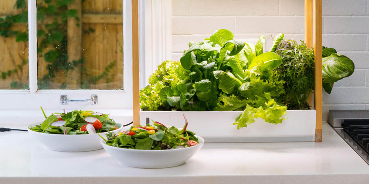 The best indoor gardening kits for growing fresh produce at home