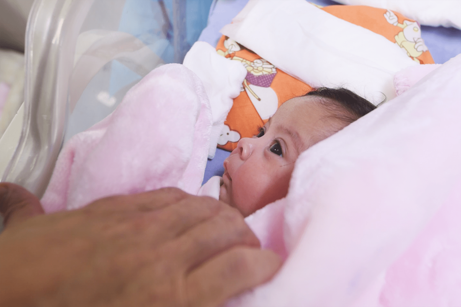 Her newborn triplets were ready to go home to Gaza from Israel, but war trapped them apart