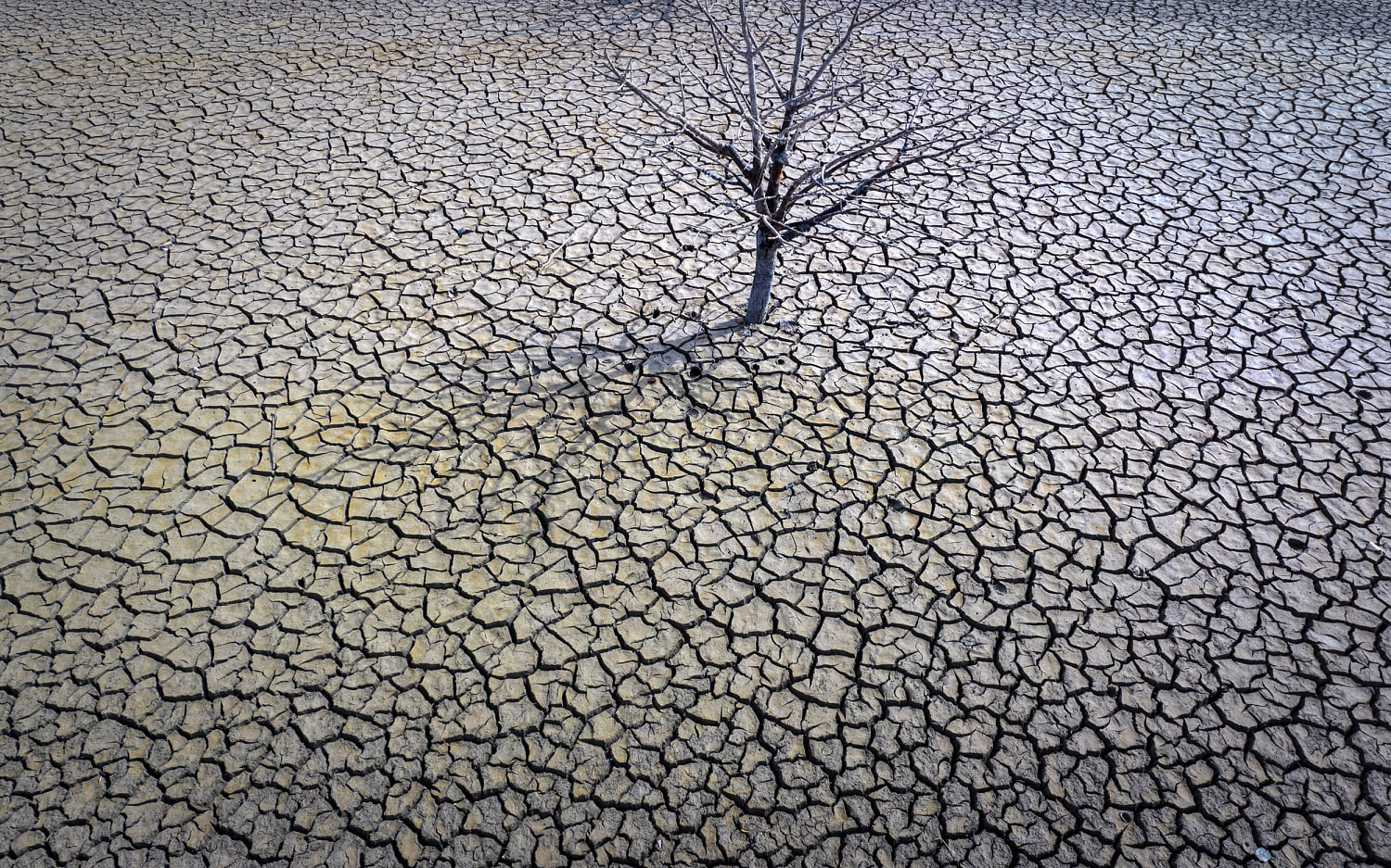 Earth just had its hottest year ever recorded — by far