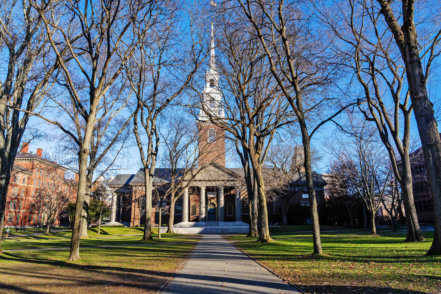 Harvard among more than a dozen schools to receive failing grade on ADL's Campus Antisemitism Report Card
