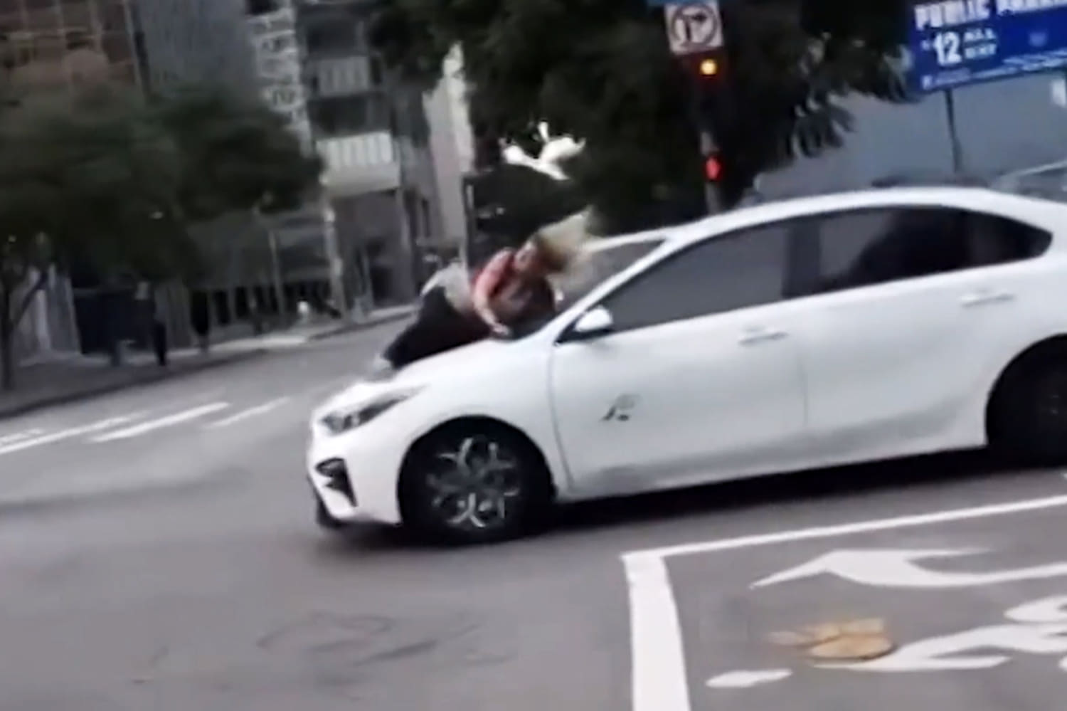 Video shows woman clinging to hood of alleged dognappers' car in Los Angeles