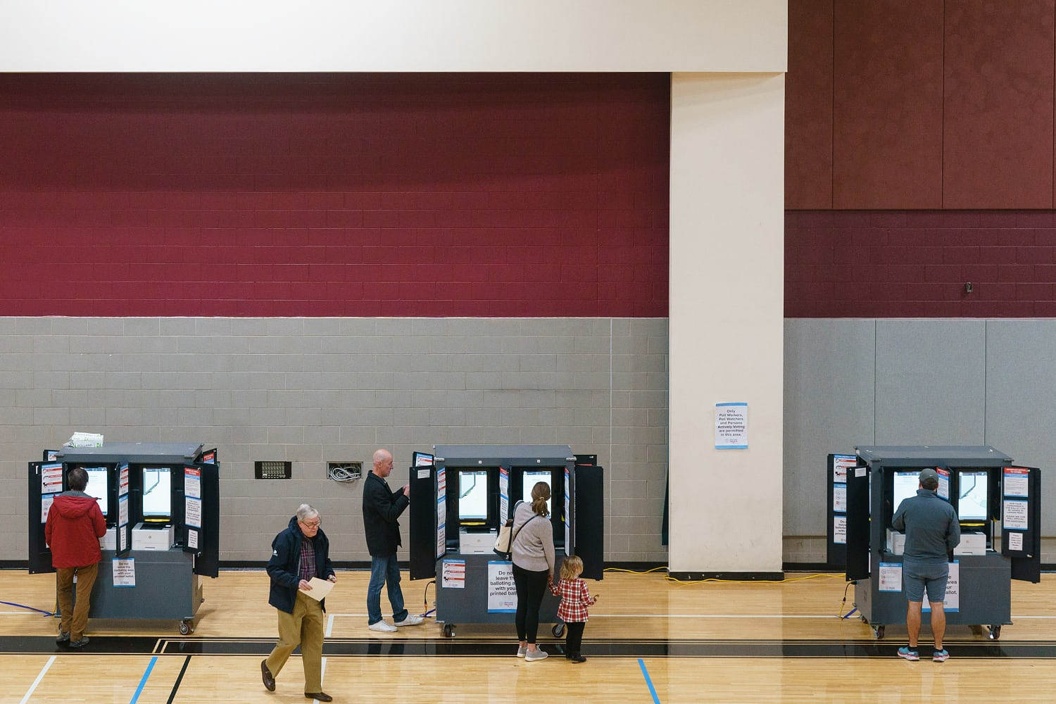 Georgia's controversial electronic voting machines face their biggest test yet