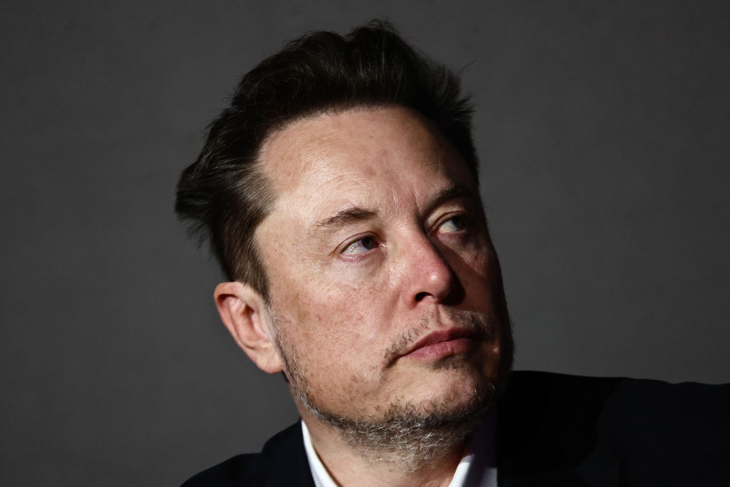 Elon Musk can't stop fearmongering on immigration