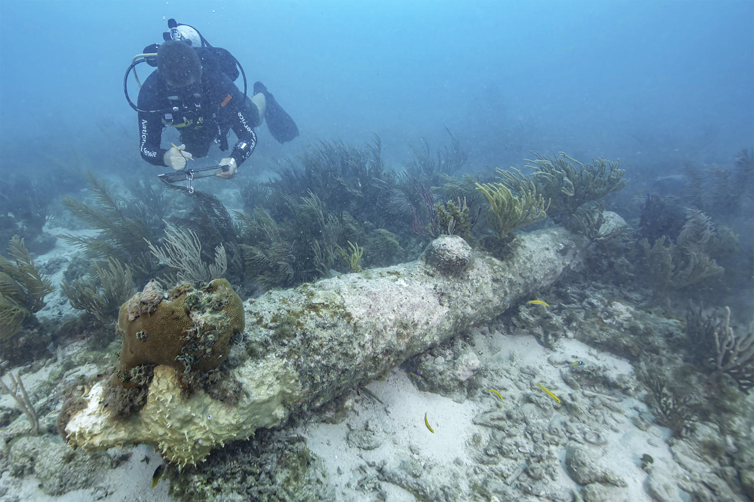 Researchers conclusively ID British warship that sunk off Florida coast in 1742