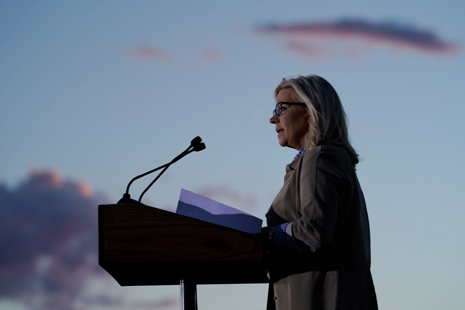 GOP cowardice is an old story. But this new snub of Liz Cheney still scares me.