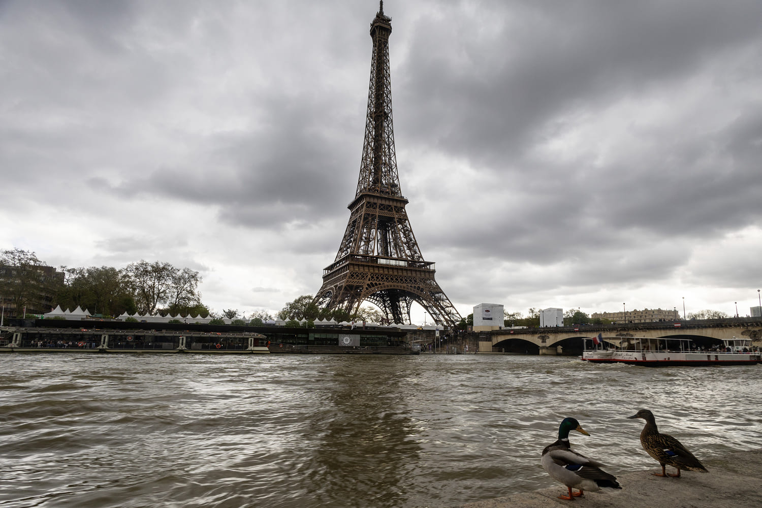 Levels of contamination in the Seine remain unsafe for Paris Olympians, report says