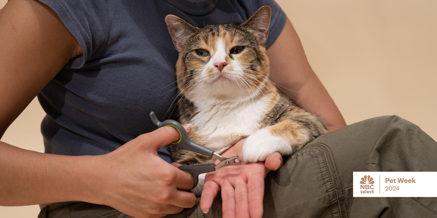 The best cat nail trimmers, according to experts