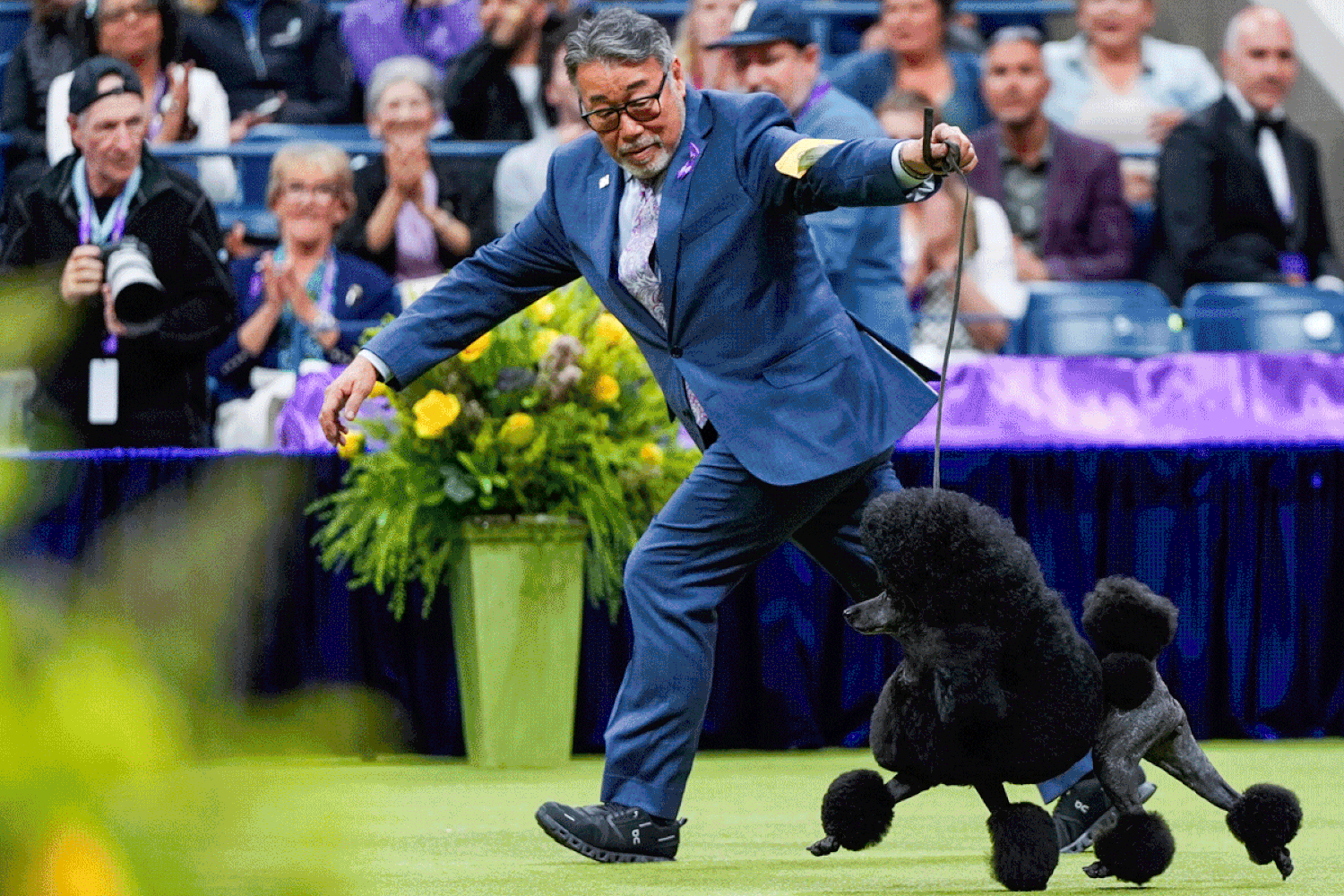 Russia makes key gains around Kharkiv and Sage the miniature poodle wins best in show: Morning Rundown