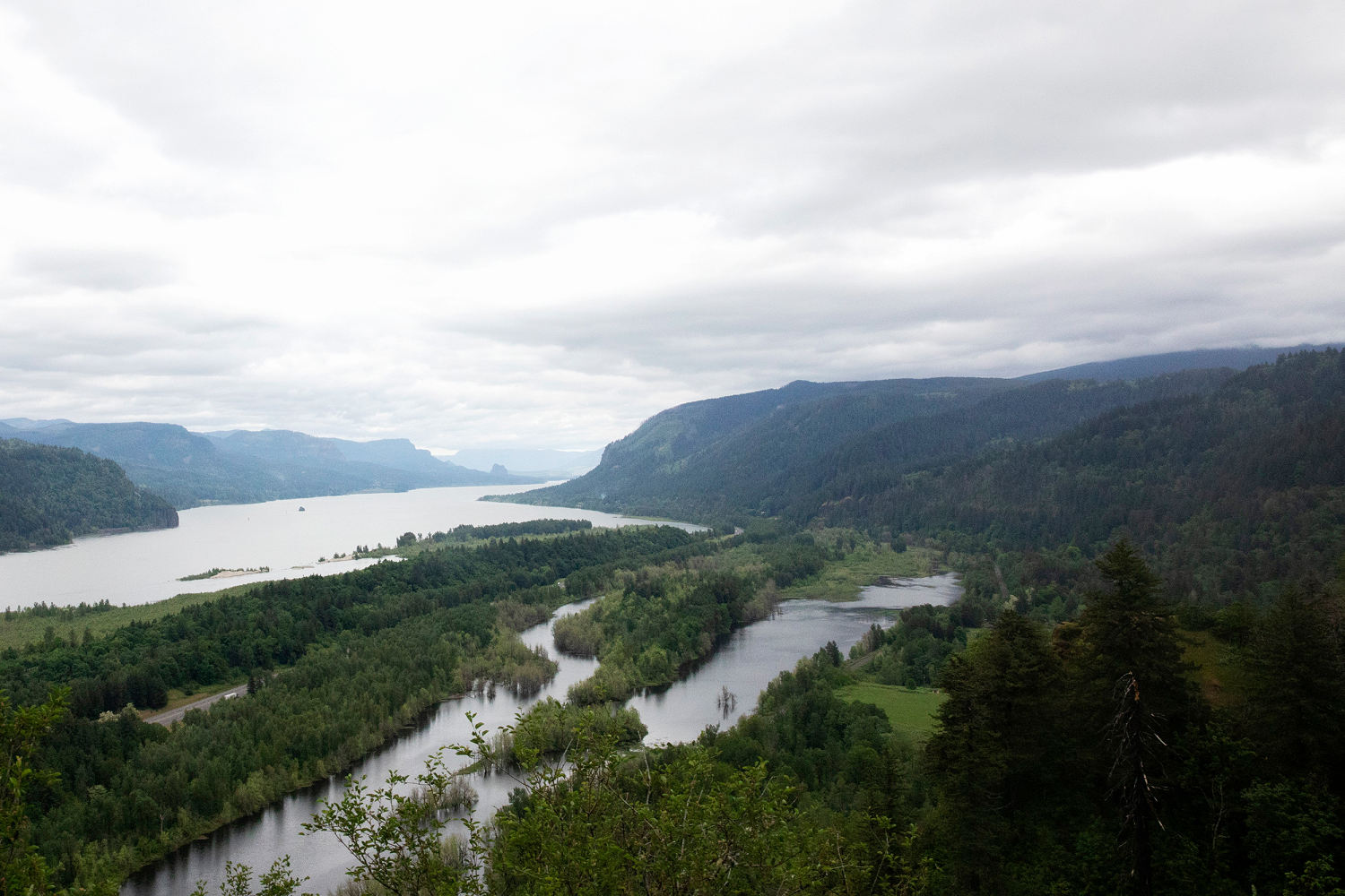 Hiker dies after falling from trail in Oregon’s Columbia River Gorge, officials say