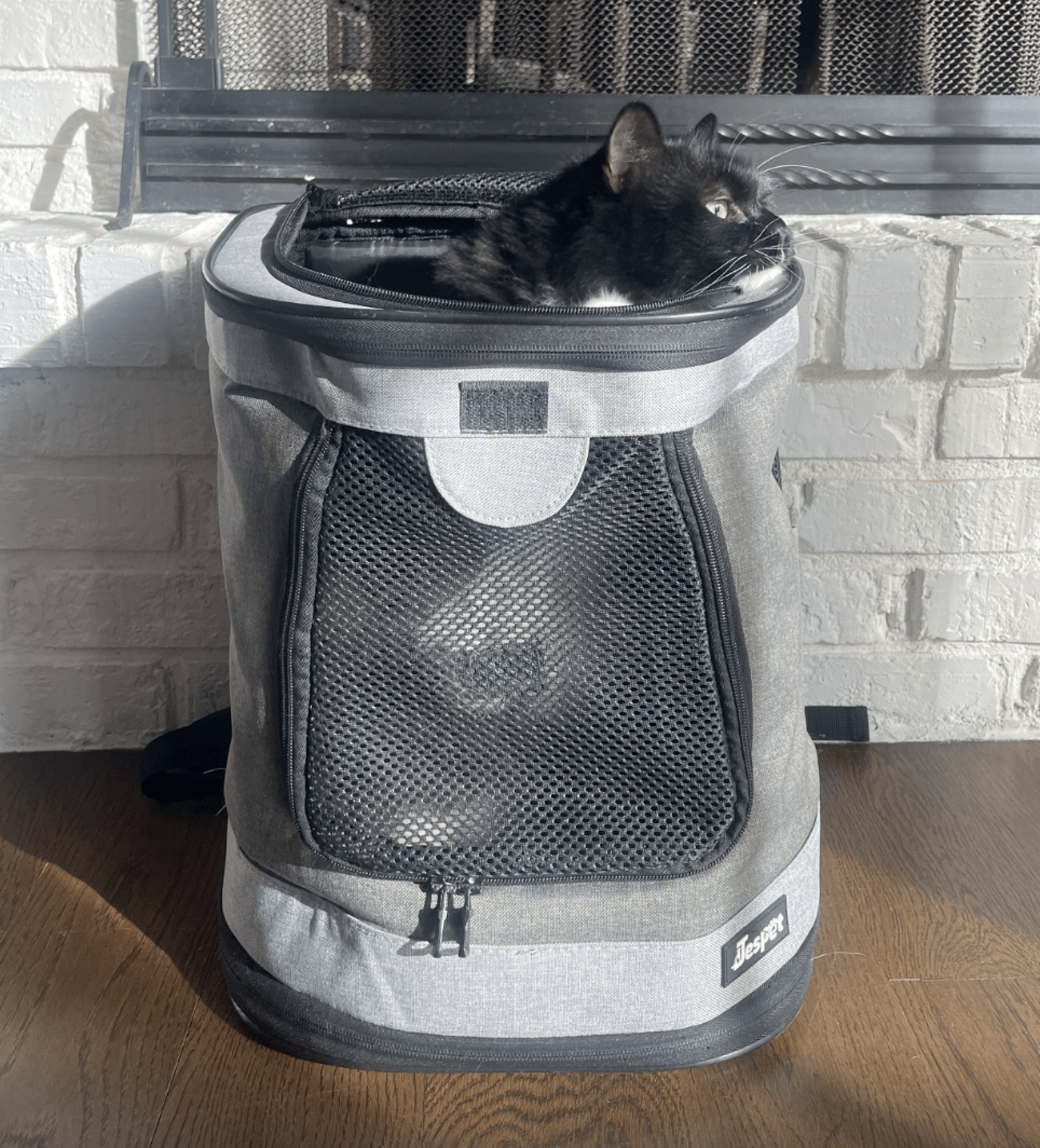 The best cat carriers for stress-free travel