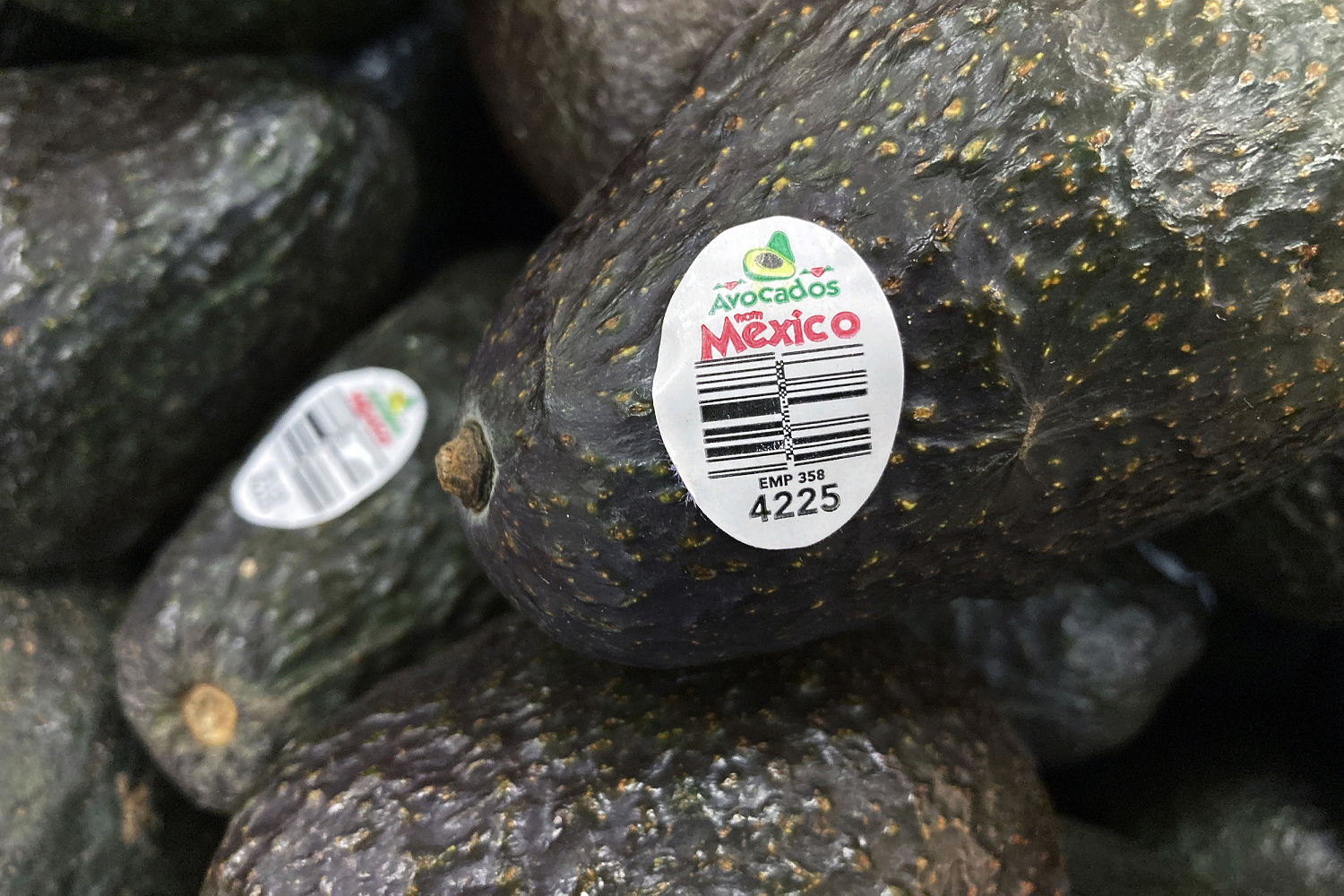 U.S. to resume avocados and mangoes inspection from Mexican state 