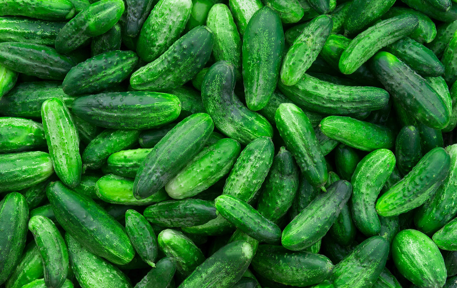 CDC shares update on cucumber recall over salmonella: Which states are affected?