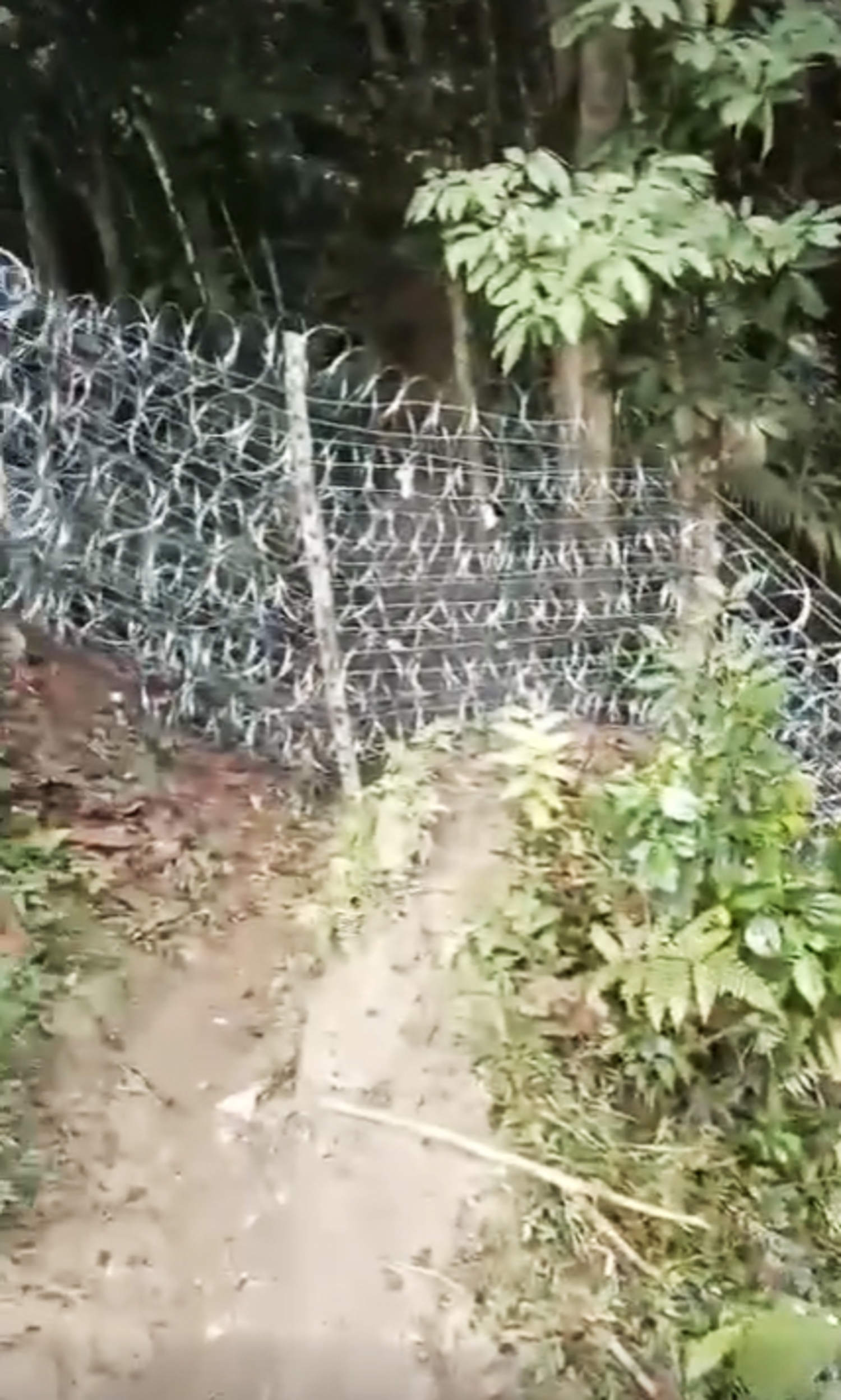 Panama is using barbed wire to try to block a major route for U.S.-bound migrants