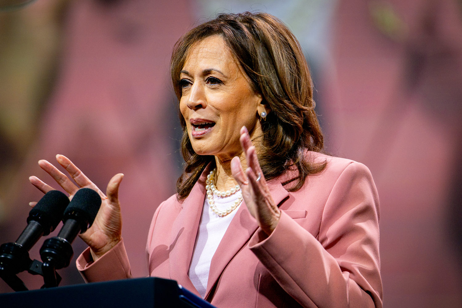 Liberal groups are finding Kamala Harris polls well with some groups as Biden struggles