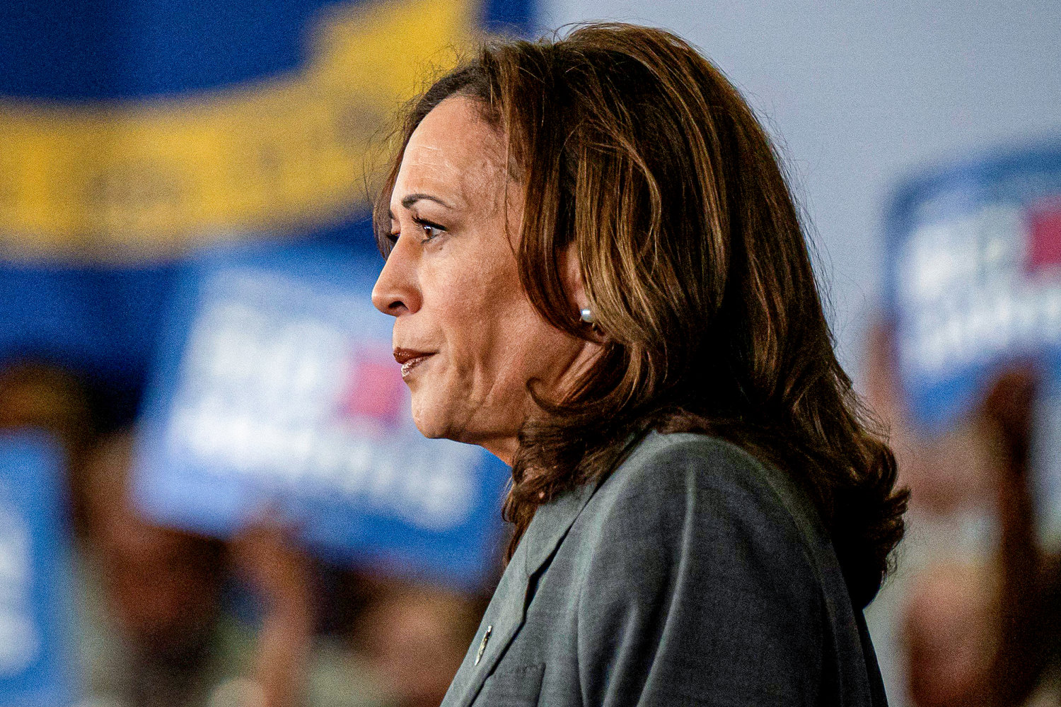 'Ludicrous': Donors leave call with Kamala Harris frustrated and annoyed