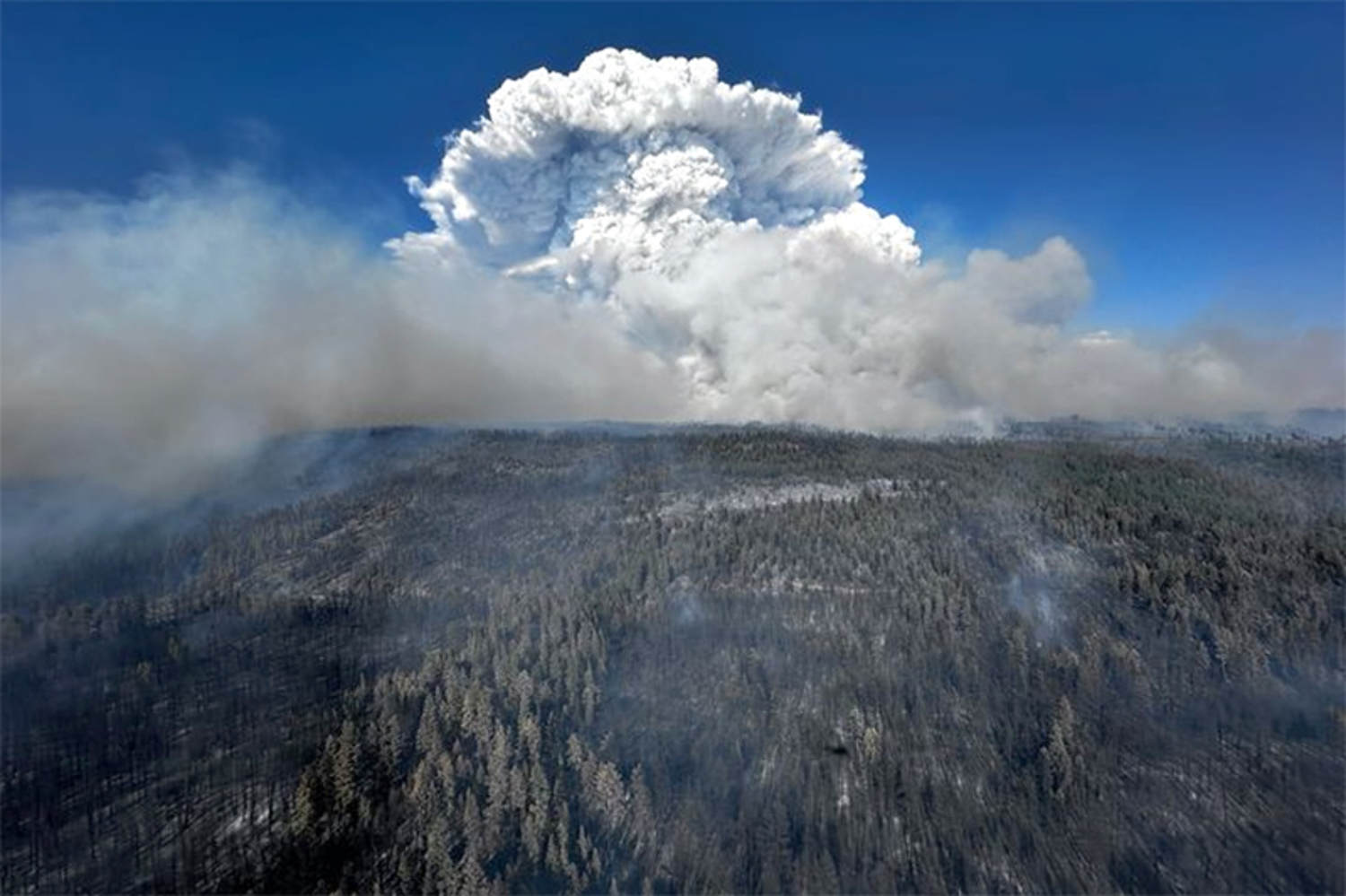 Several blazes, including a ‘megafire,’ growing in Oregon amid dry fuel and high temperatures