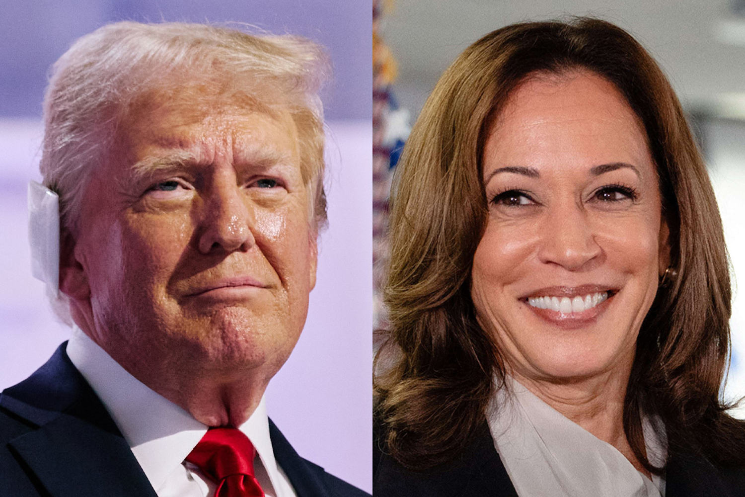Excitement over Harris campaign 'scares' Trump supporters 