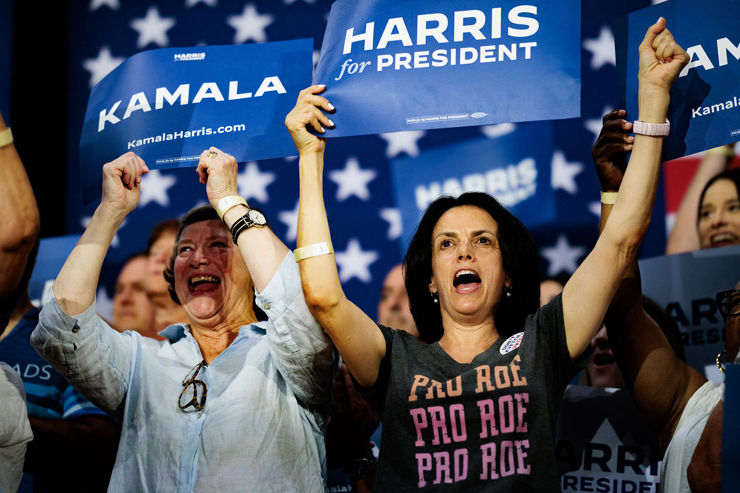 'People feel good': Georgia Democrats galvanize base ahead of Harris visit