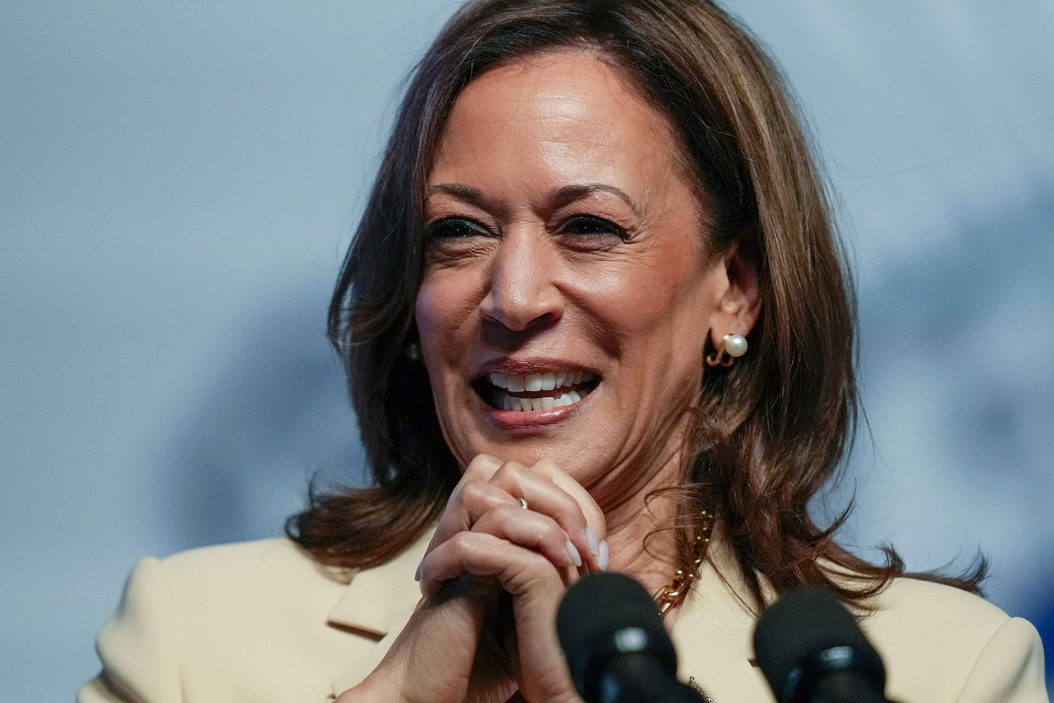 Harris officially has no challengers for the Democratic presidential nomination