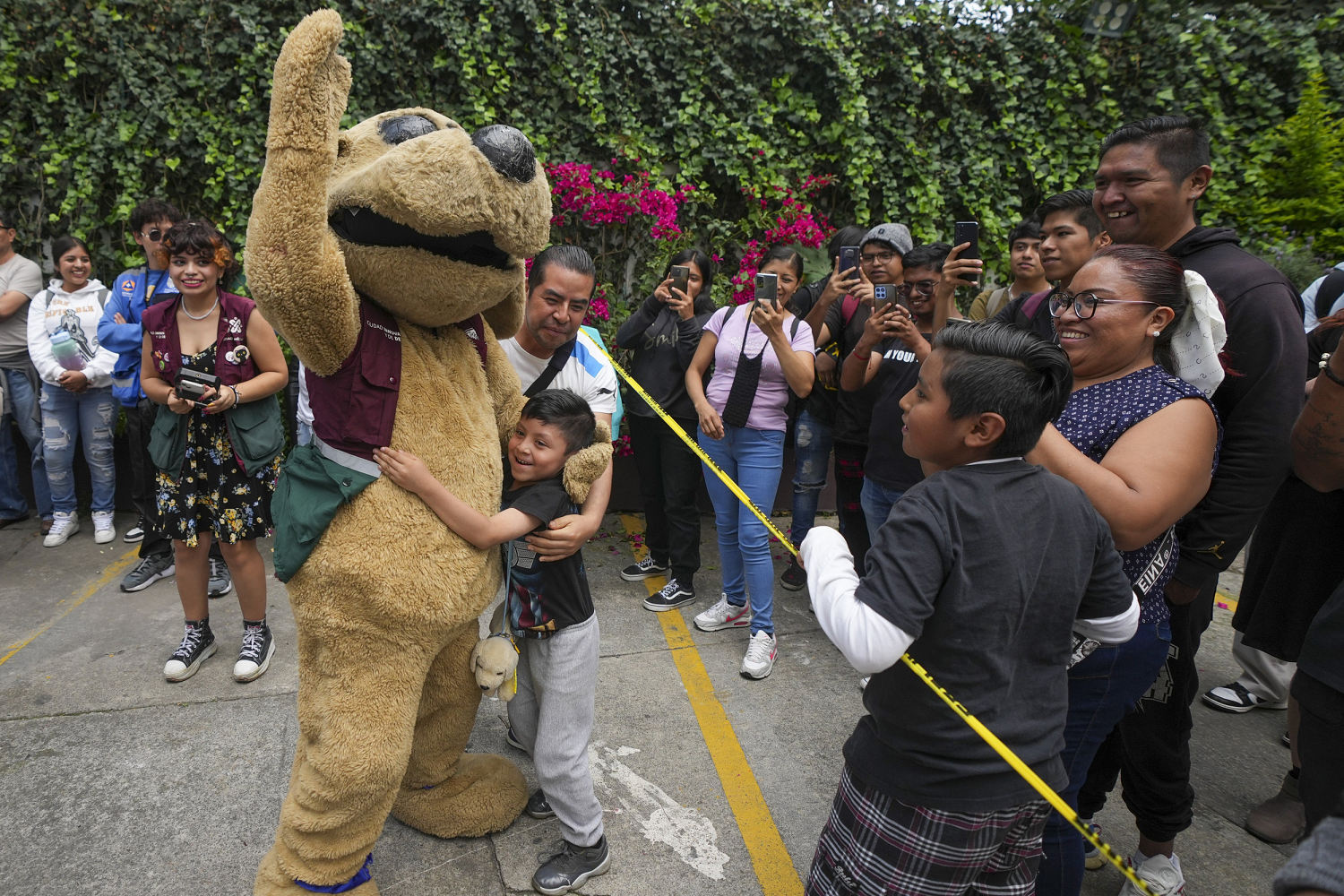 In Mexico, a lucha libre 'dog' is also a viral meme