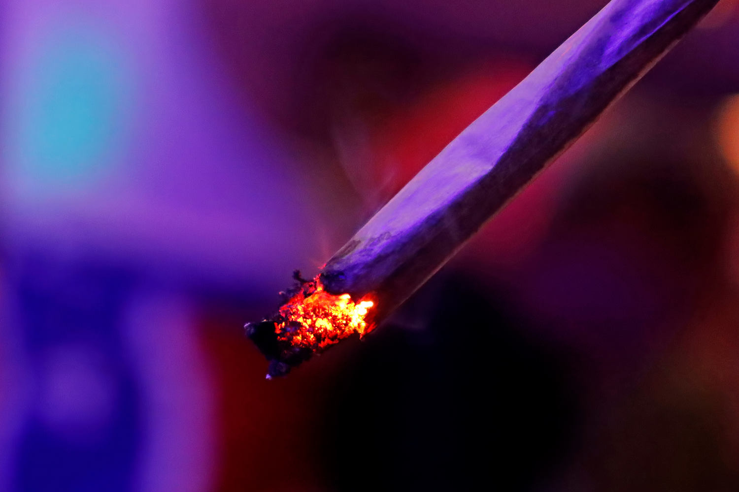 Heavy cannabis use may increase risk of certain cancers, new study finds