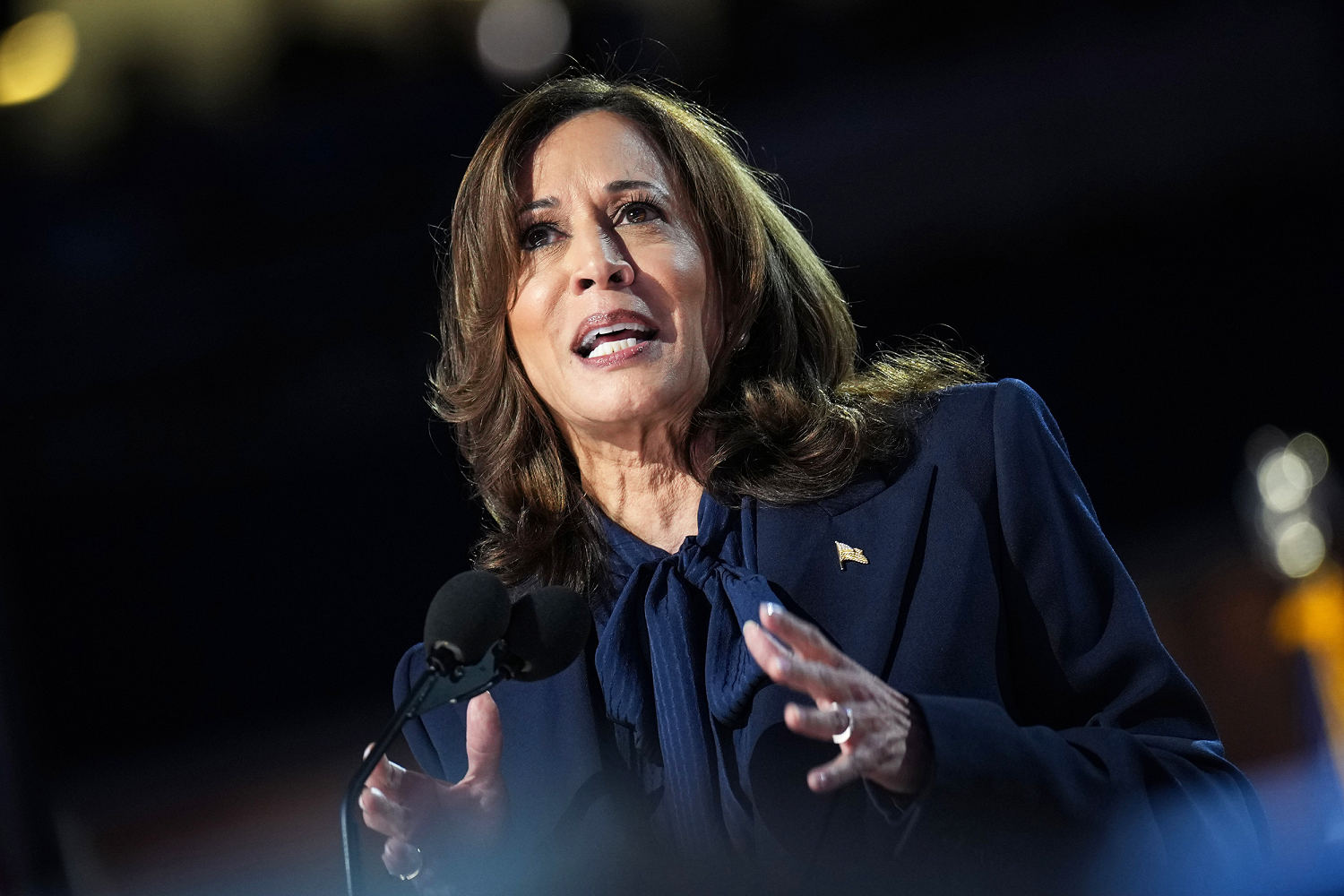 Harris attacks Trump for giving Putin Covid tests 'when Black people were dying everyday by the hundreds'