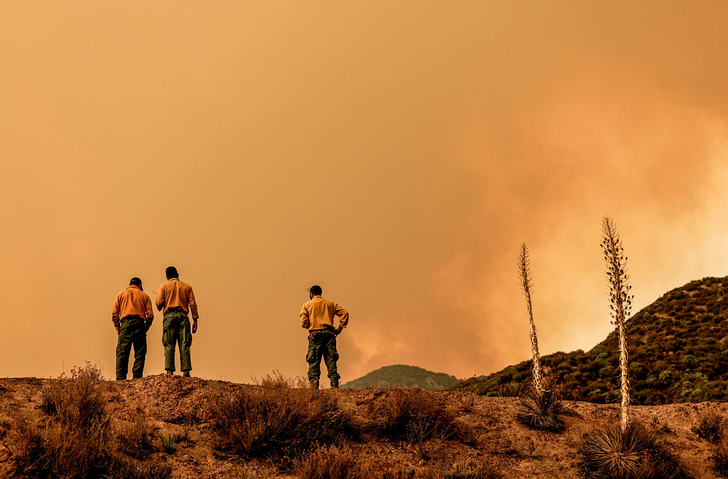 U.S. Forest Service pauses seasonal employee hiring amid budget shortfall