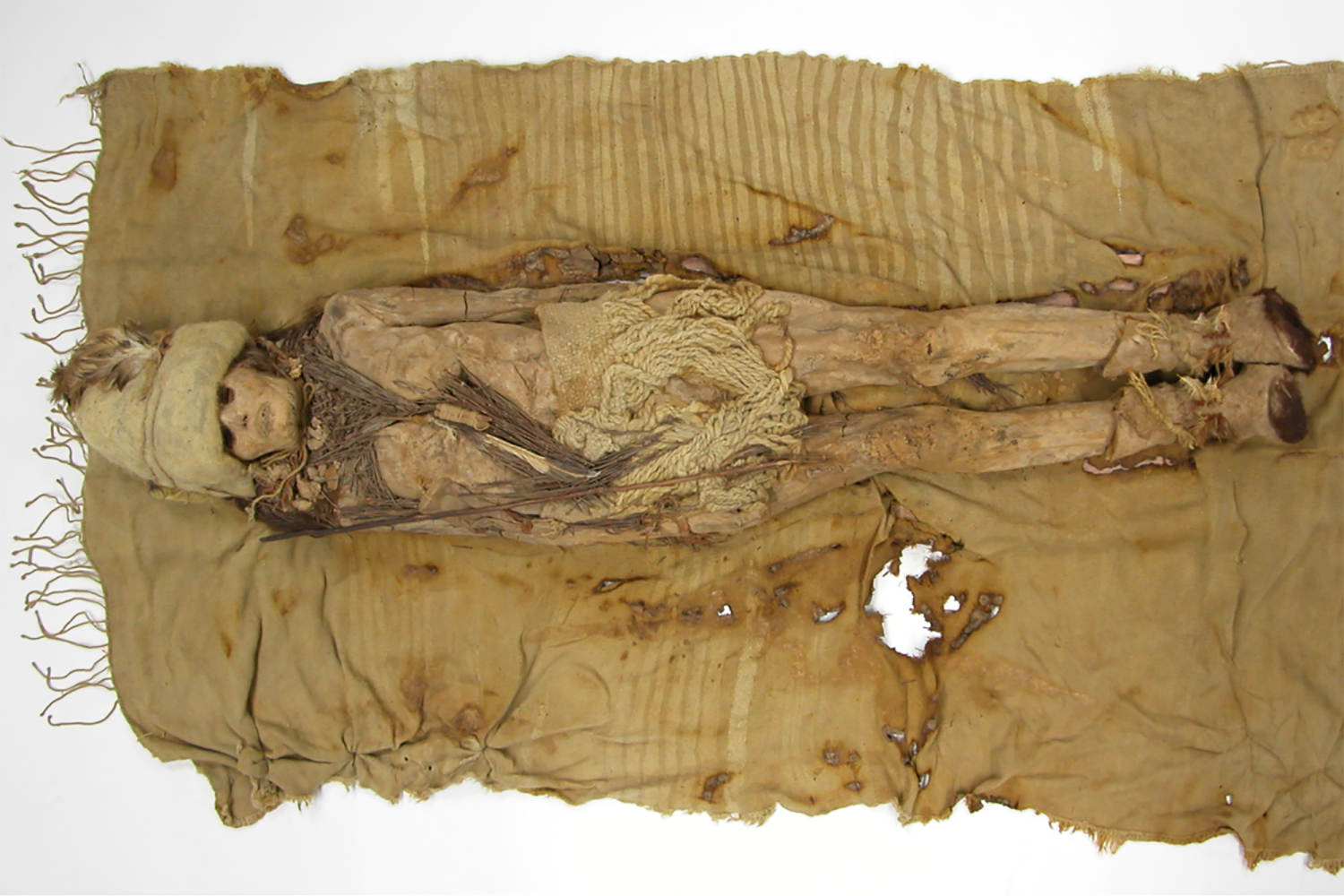 World's oldest cheese found on ancient Chinese mummies