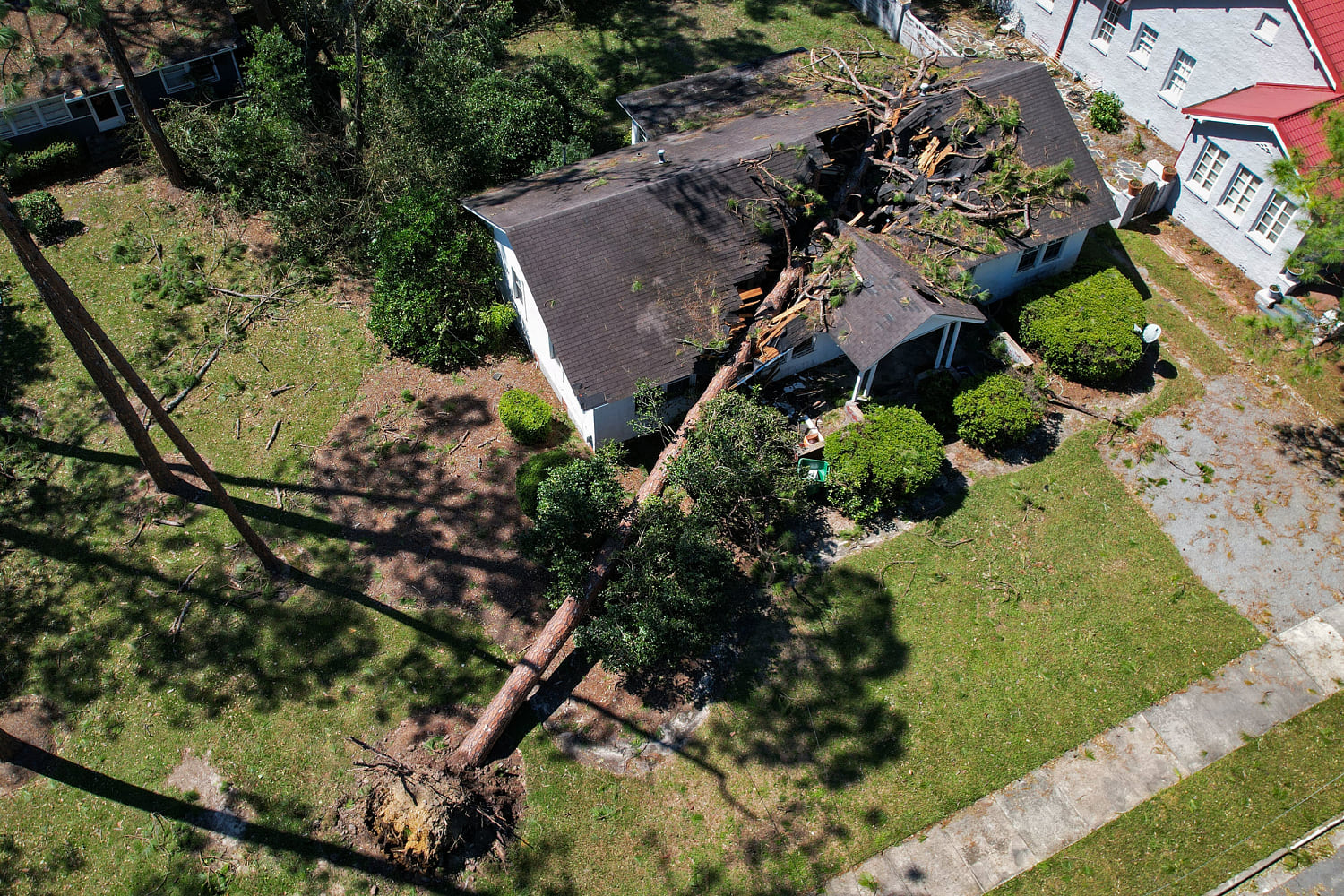 Helene leaves dozens dead in its trail, with more than a third killed by falling trees