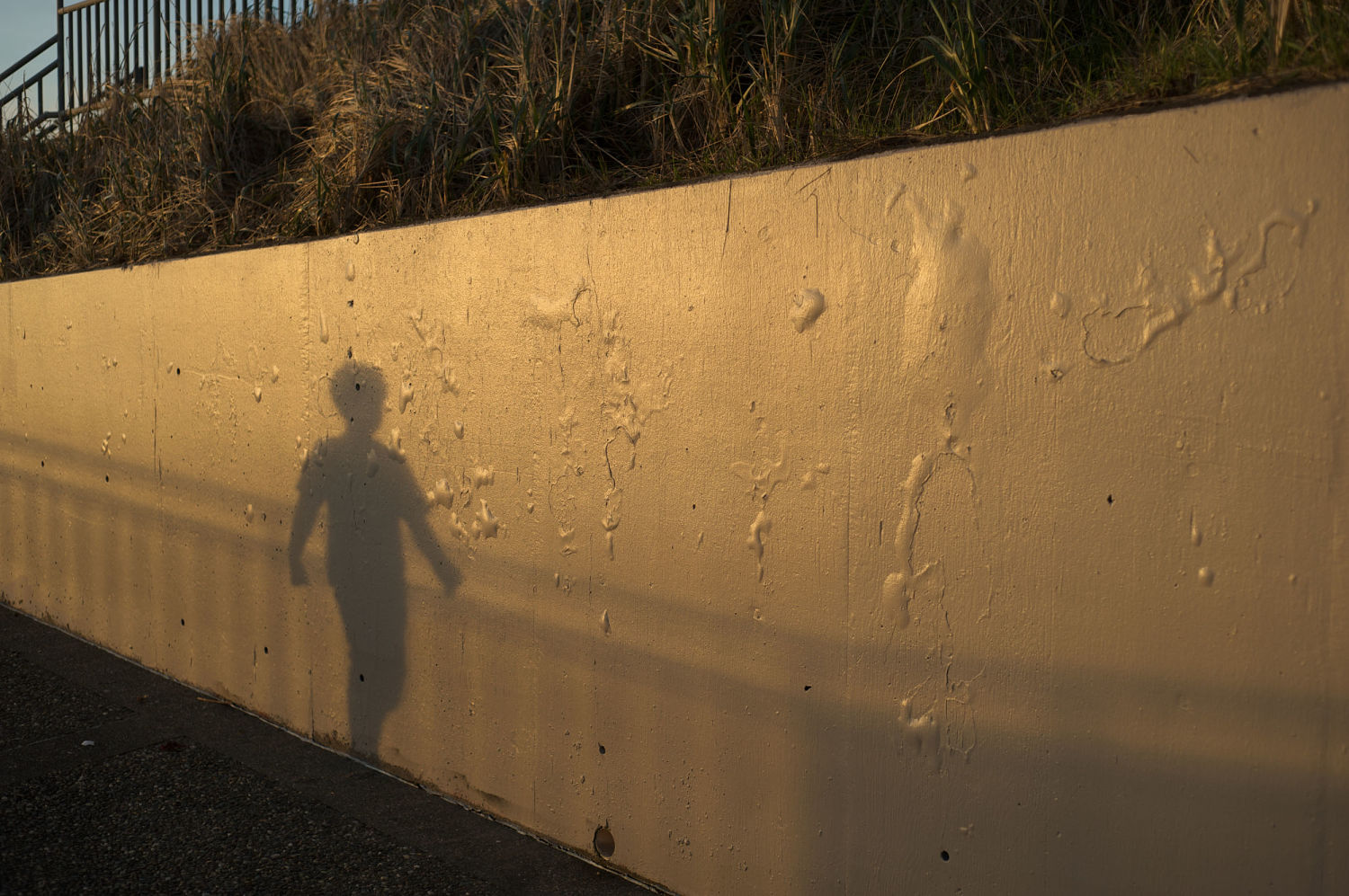 Child kidnapped 73 years ago from California park found alive and well as senior citizen