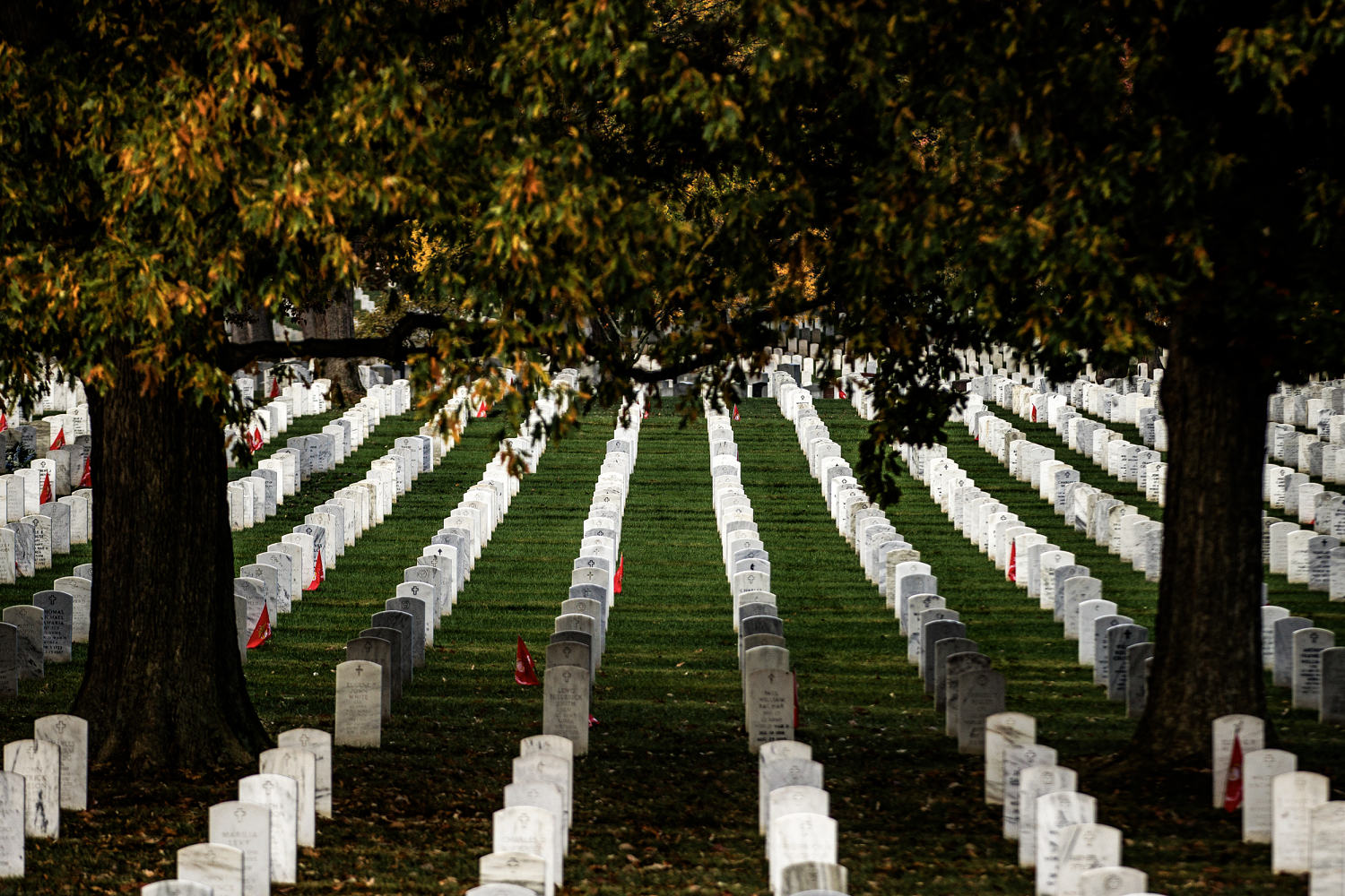 Grave cleaning videos spark fascination and outrage online