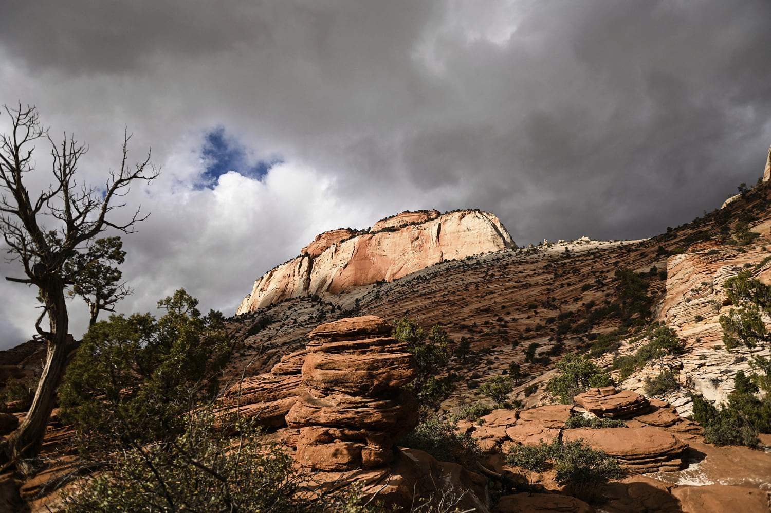 241006 zion national park wm 441p cb9189