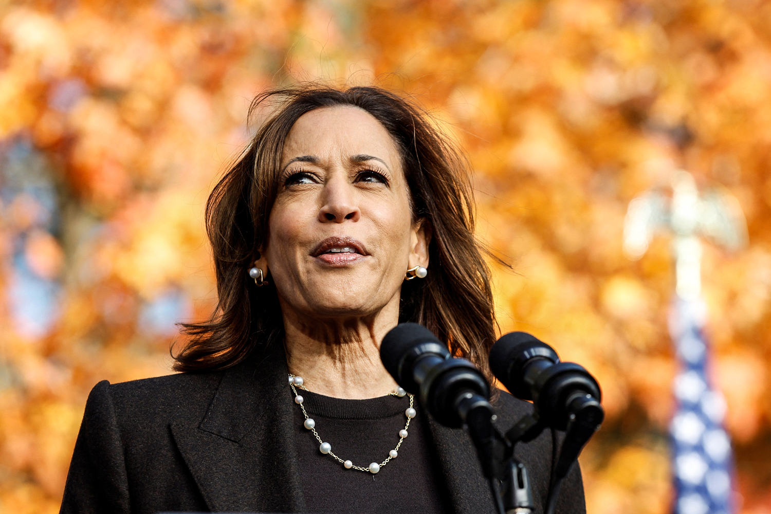 Harris says Trump is 'increasingly unhinged' and blasts his reported praise of Hitler as dangerous