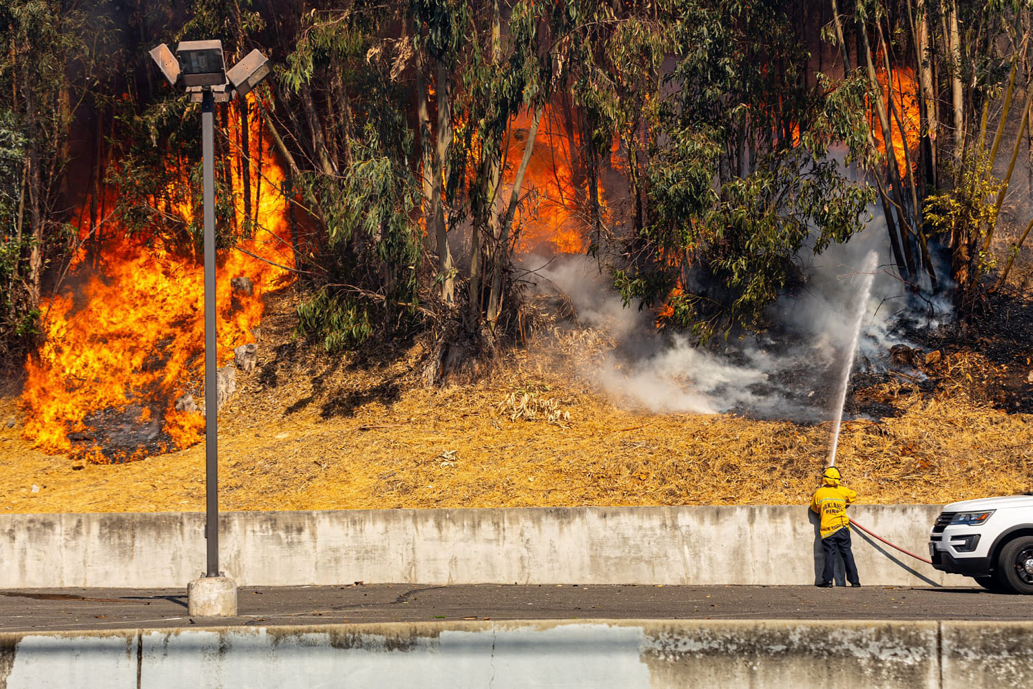 Incêndio danifica 2 casas em Oakland Hills, Califórnia, começam as evacuações | DailyNerd